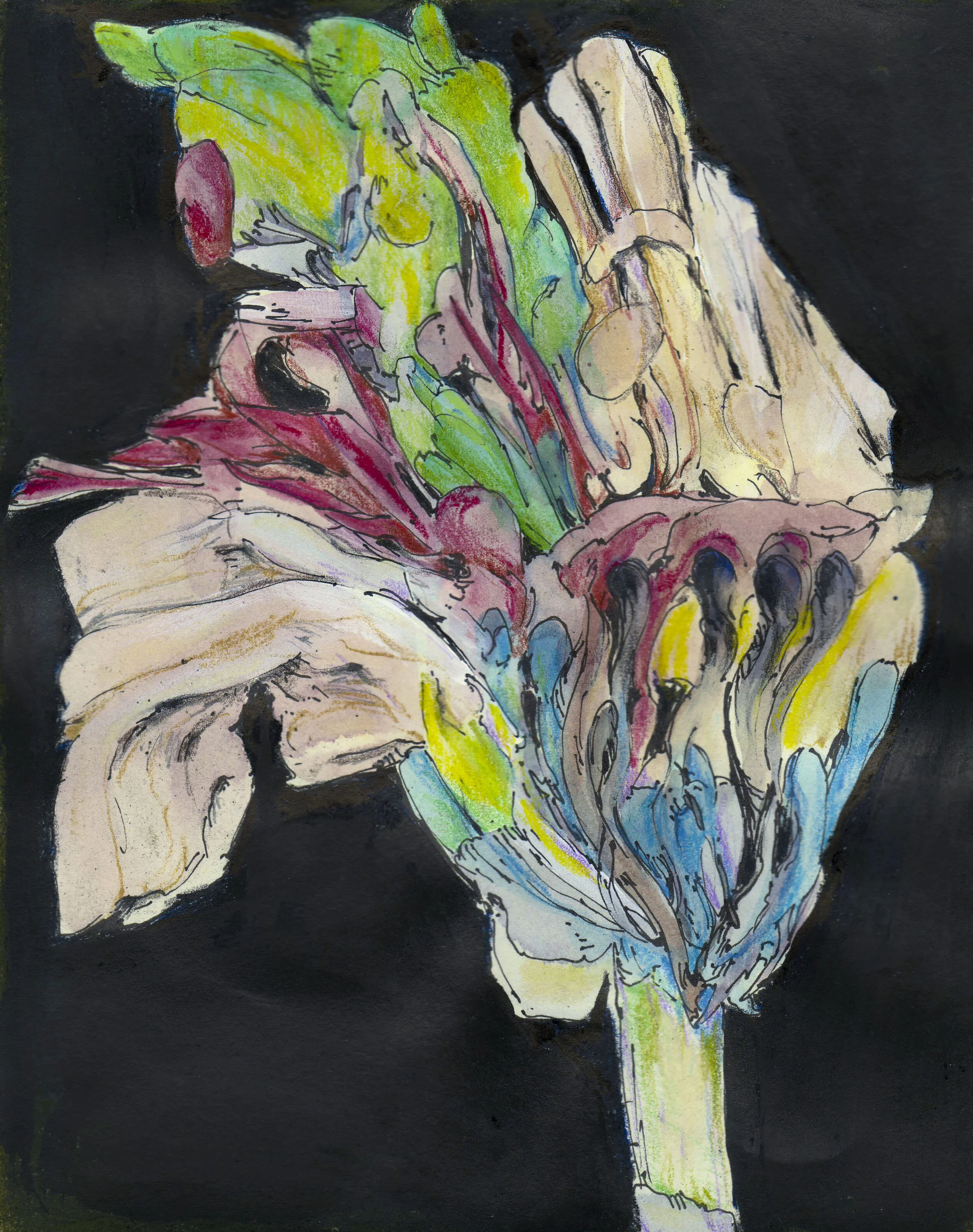 Morganic Bundles.JPG