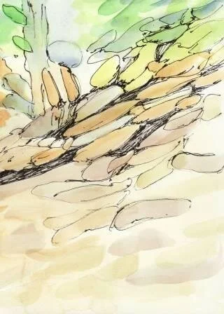 Copy (2) of Scan20022W.JPG