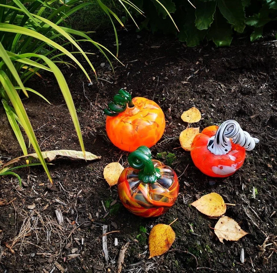 Pumpkin Class - Special Class