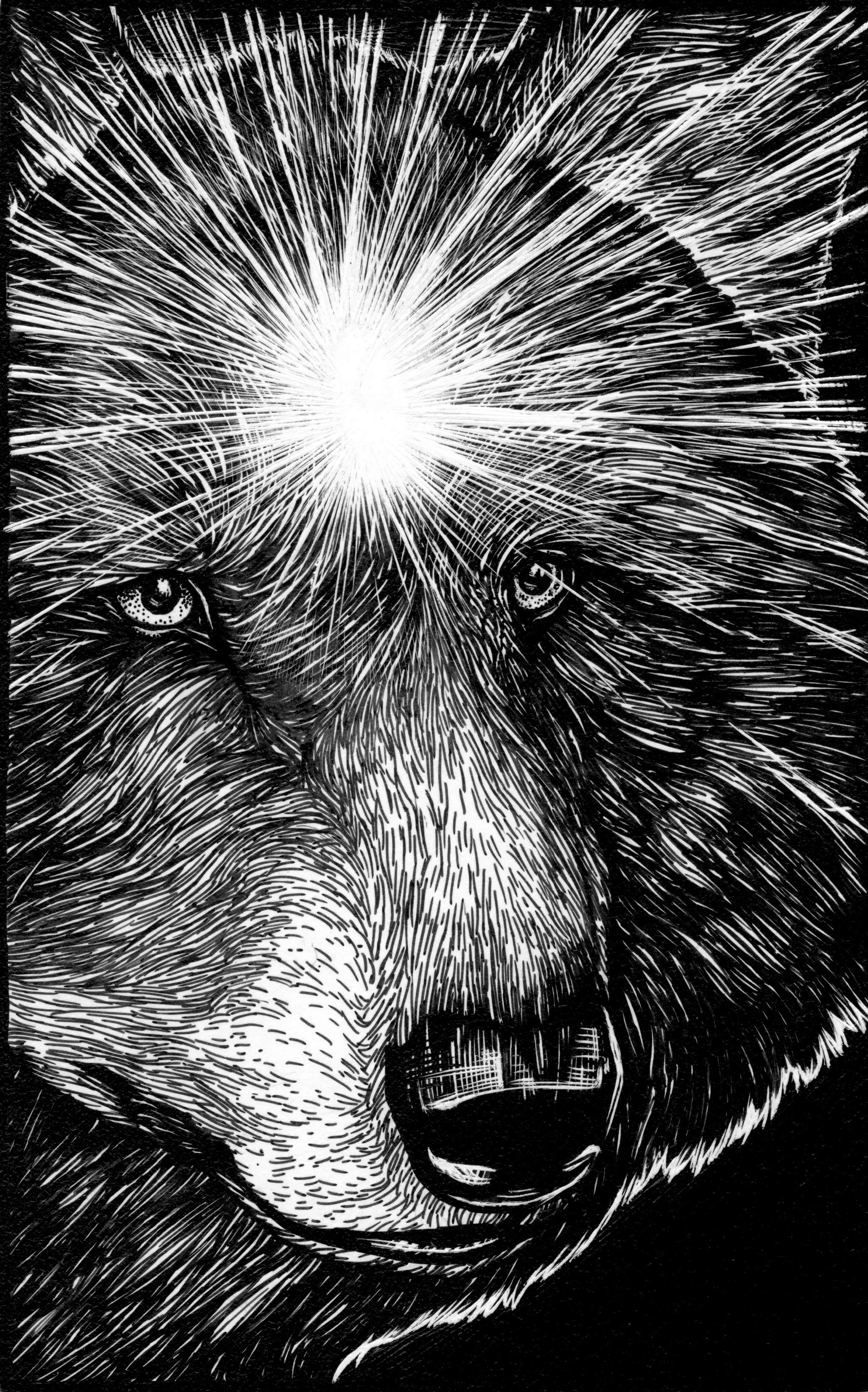 Wolf Third Eye