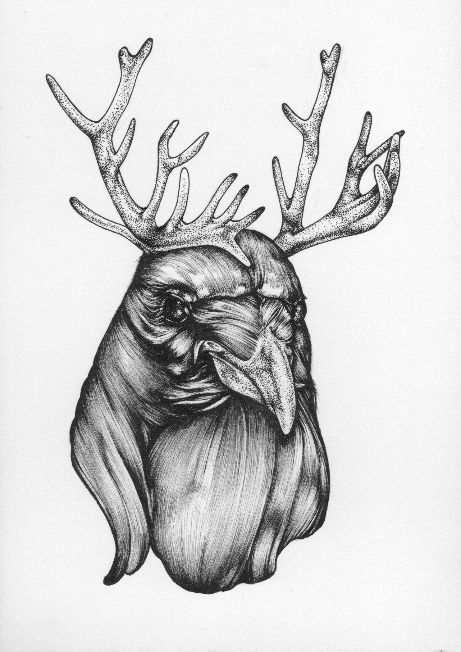 owlfacer - 1.jpg