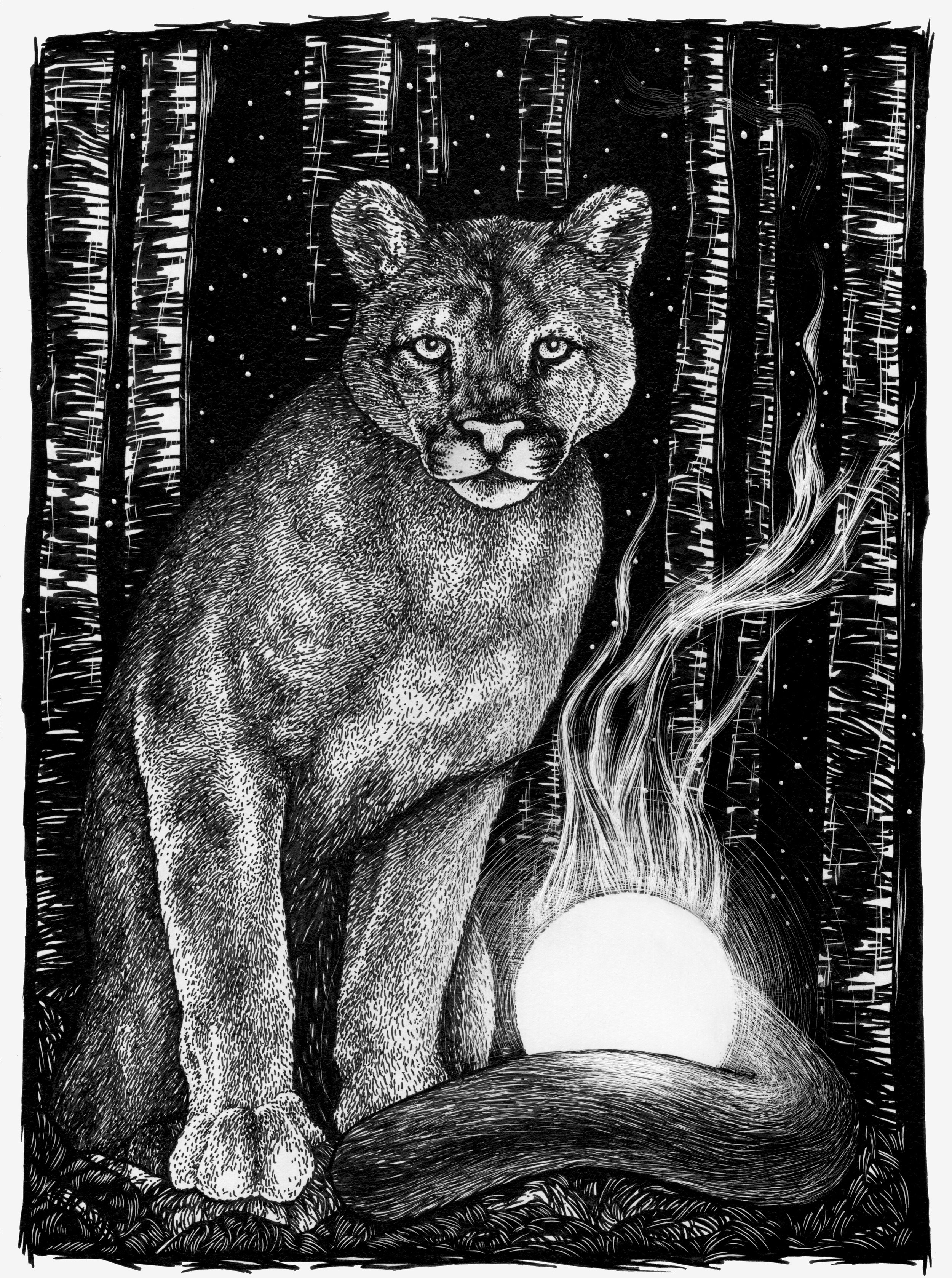 The Celestial Hunter