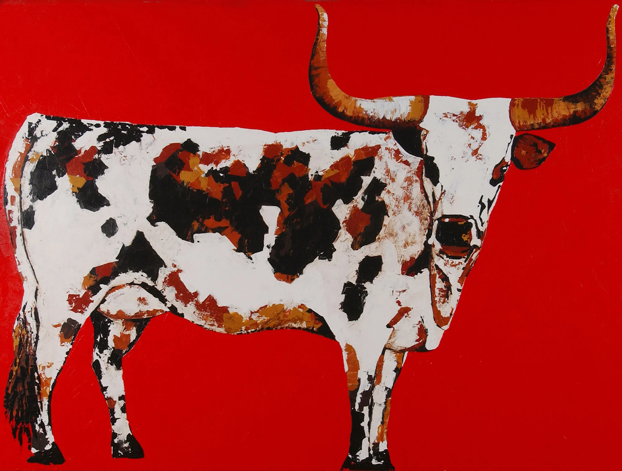 Longhorn