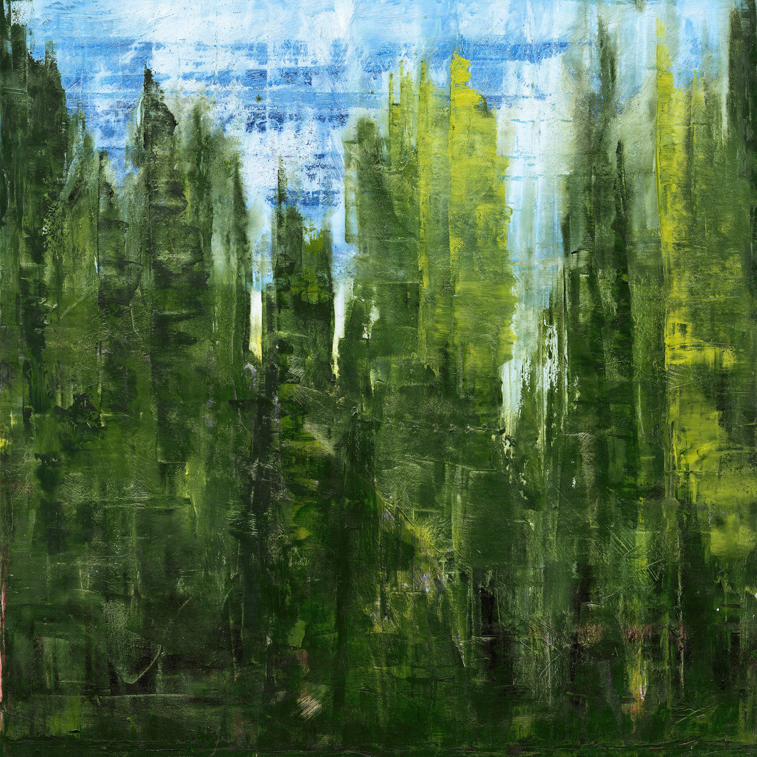 cypress