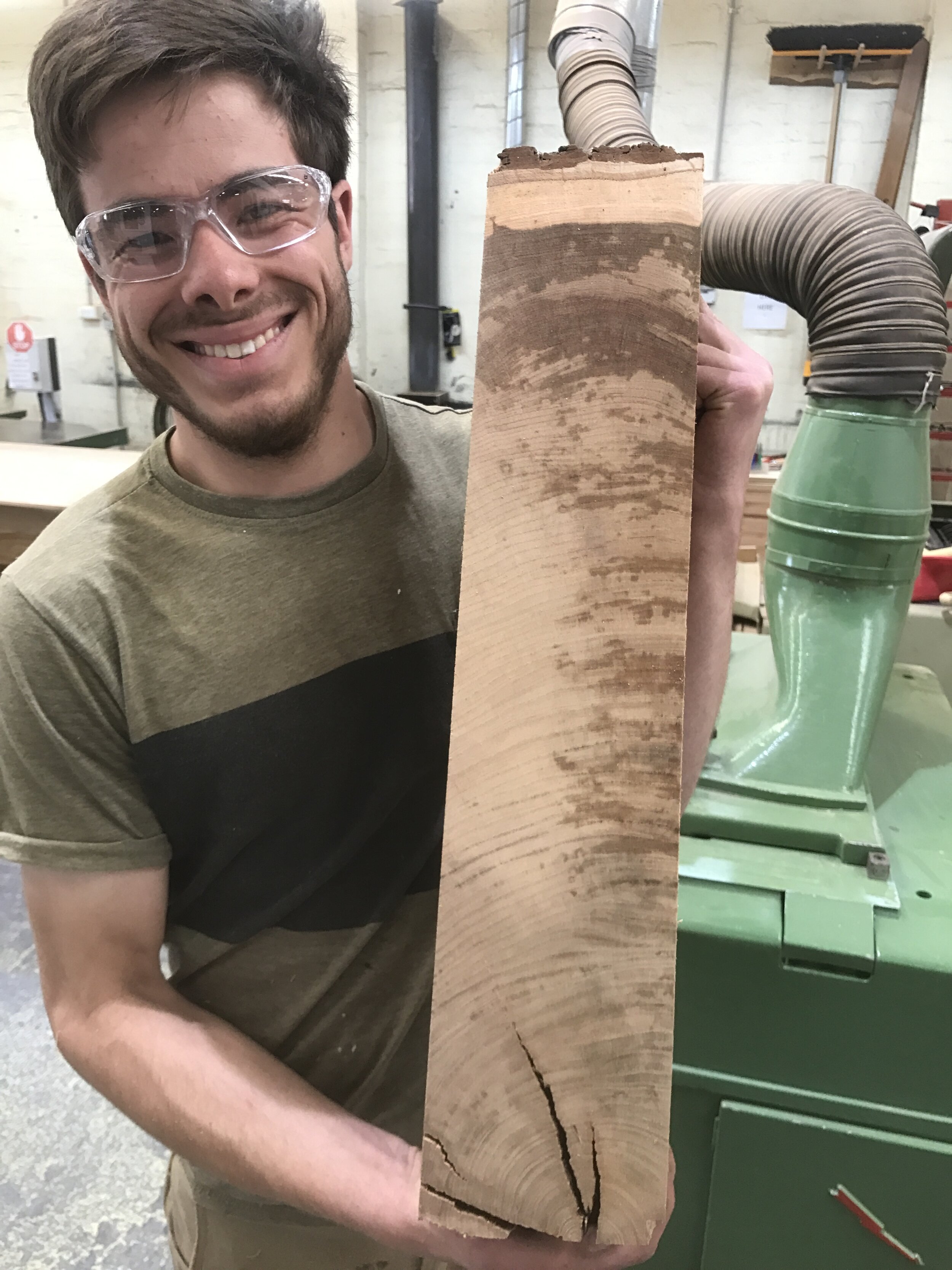 Counting the growth rings. 170 years old! Arthur's Elm - Melbourne Botanical Gardens.jpg