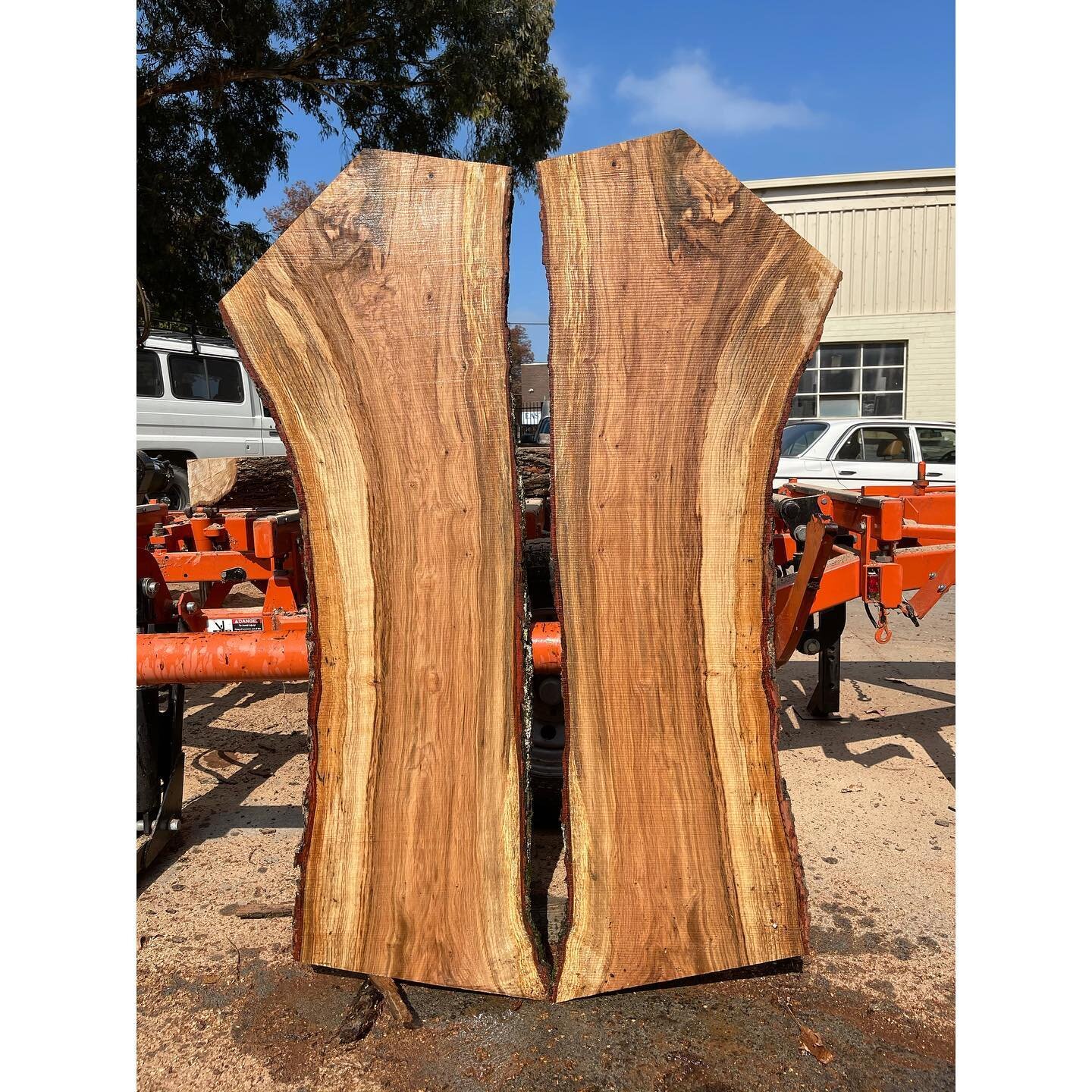 Two of the highlights of yesterday&rsquo;s milling. White oak from the Botanical Gardens in Melbourne. Unusually dark and slightly spalted. #woodwork #madeinmelbourne #handmade