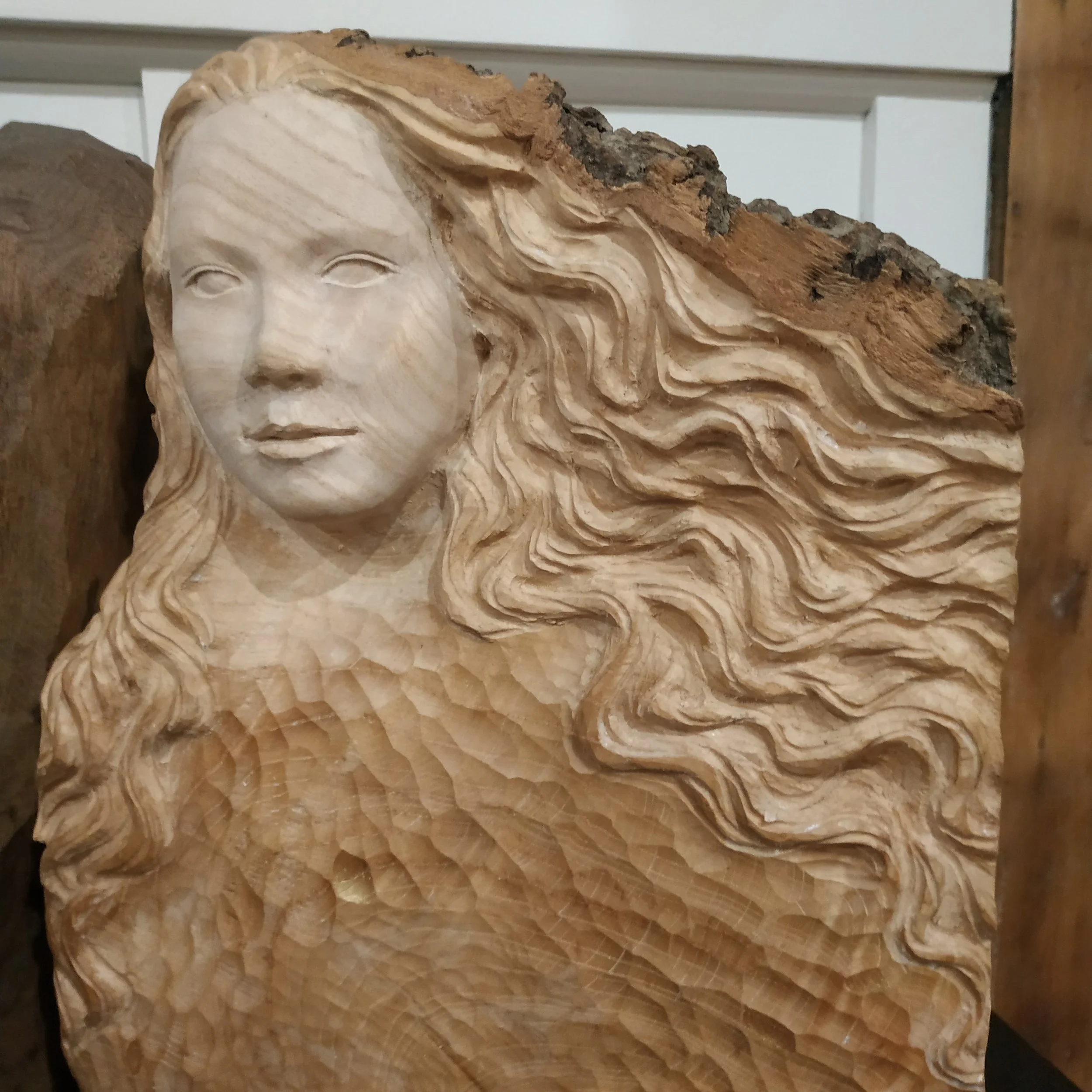 Wood Carving Open Class