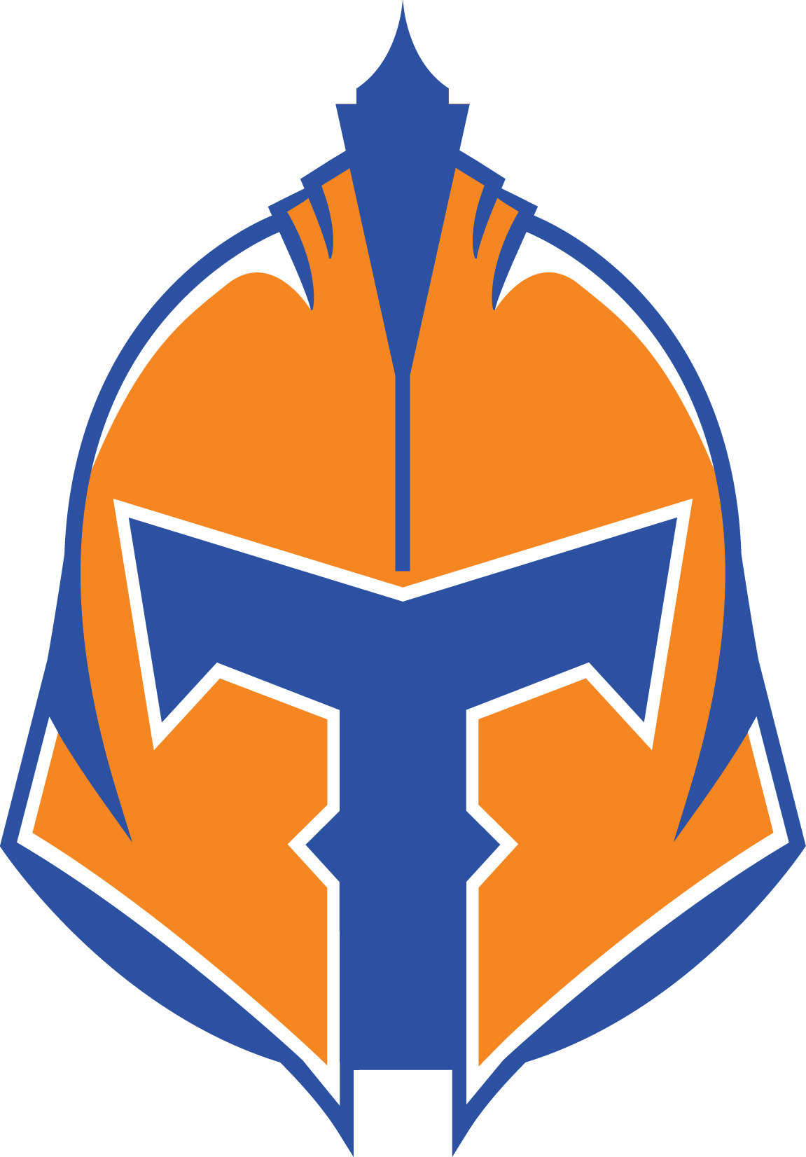 Logo Usage — Titans Sports Academy