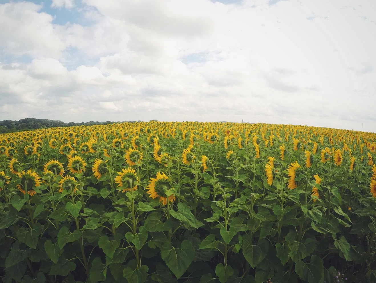 header6