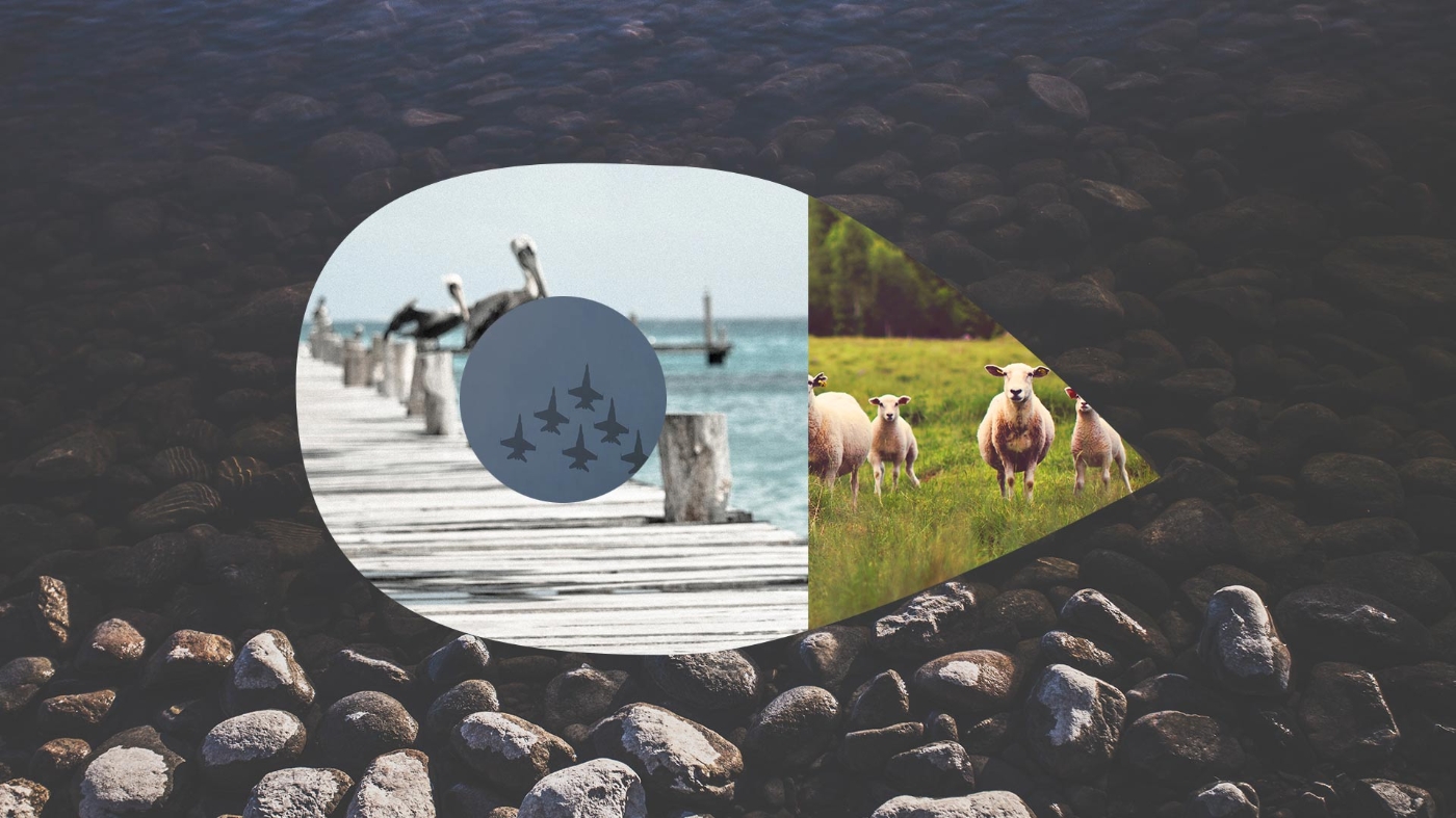 strangeflock_header2.jpg