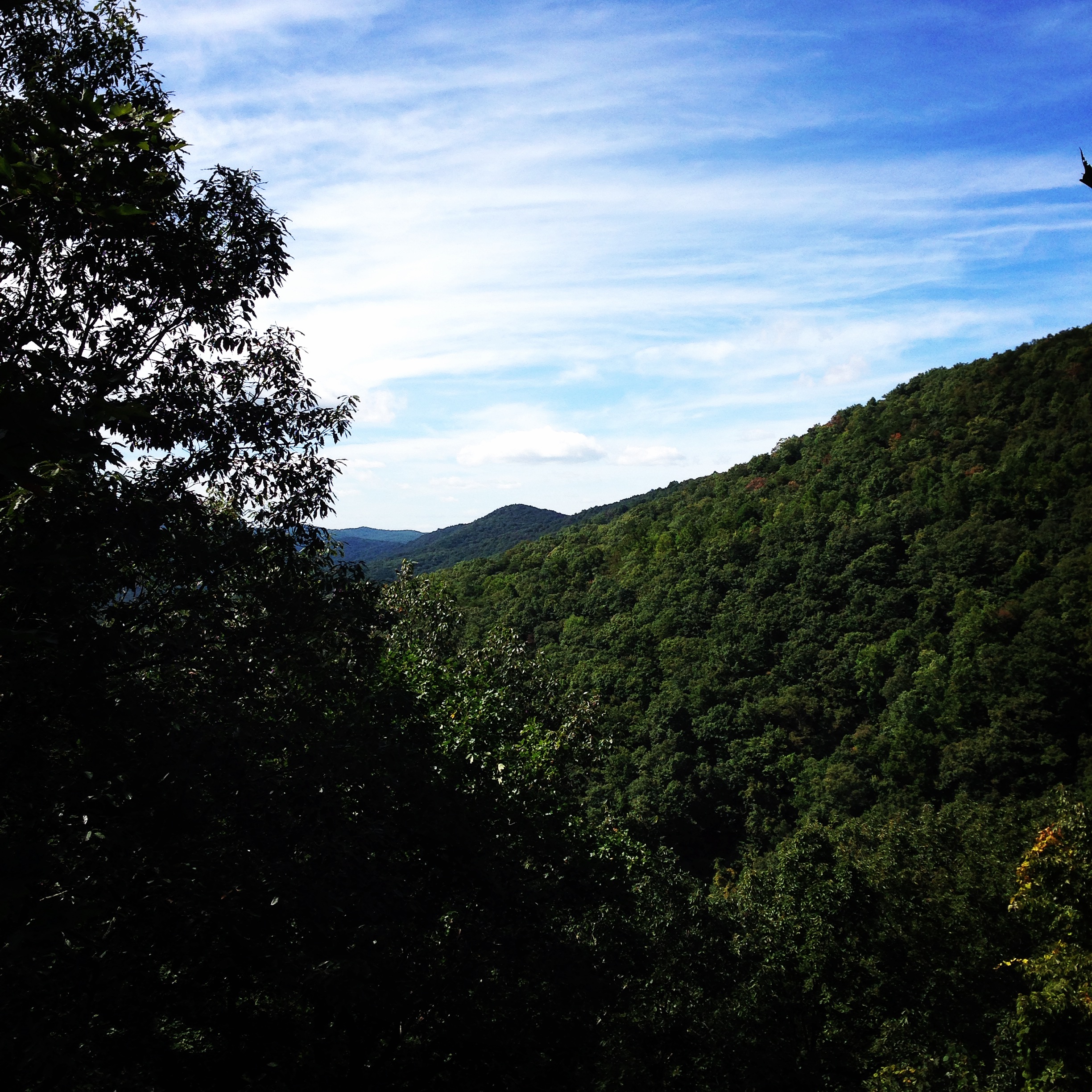 Amicalola Falls State Park - Dawsonville, GA - 10/4/2014