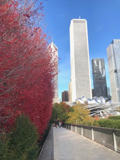 Millennium Park