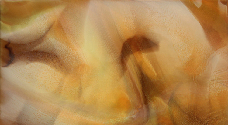  Incubate, Acrylic on Floated Mahogany/Aluminum Panel, 36 x 36 in.