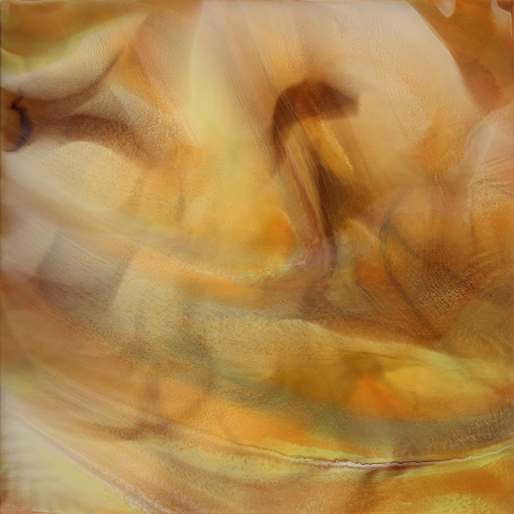 Incubate, Acrylic on Floated Mahogany/Aluminum Panel, 36 x 36 in.