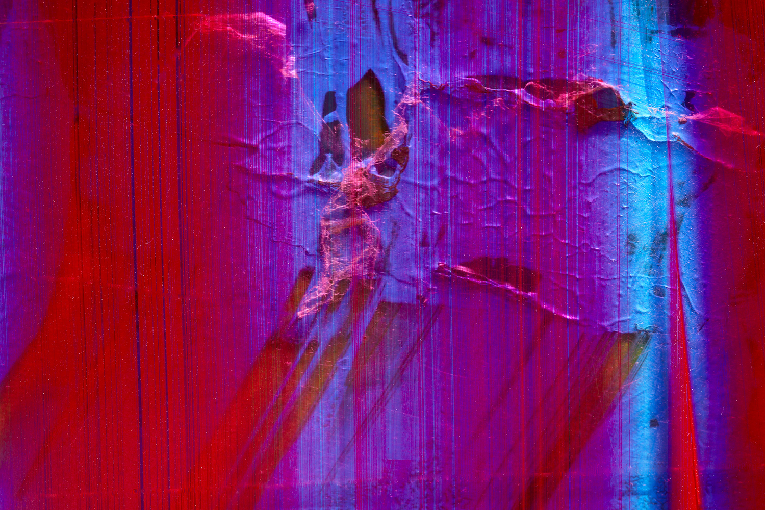 La Luna, Macrophotography, 24 x 38 in., ed 1/7