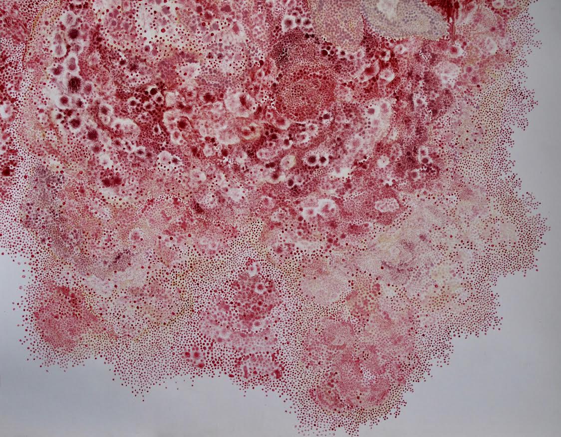  Tsubaki I, Oil on Paper, 23.6 x 30.3 in.