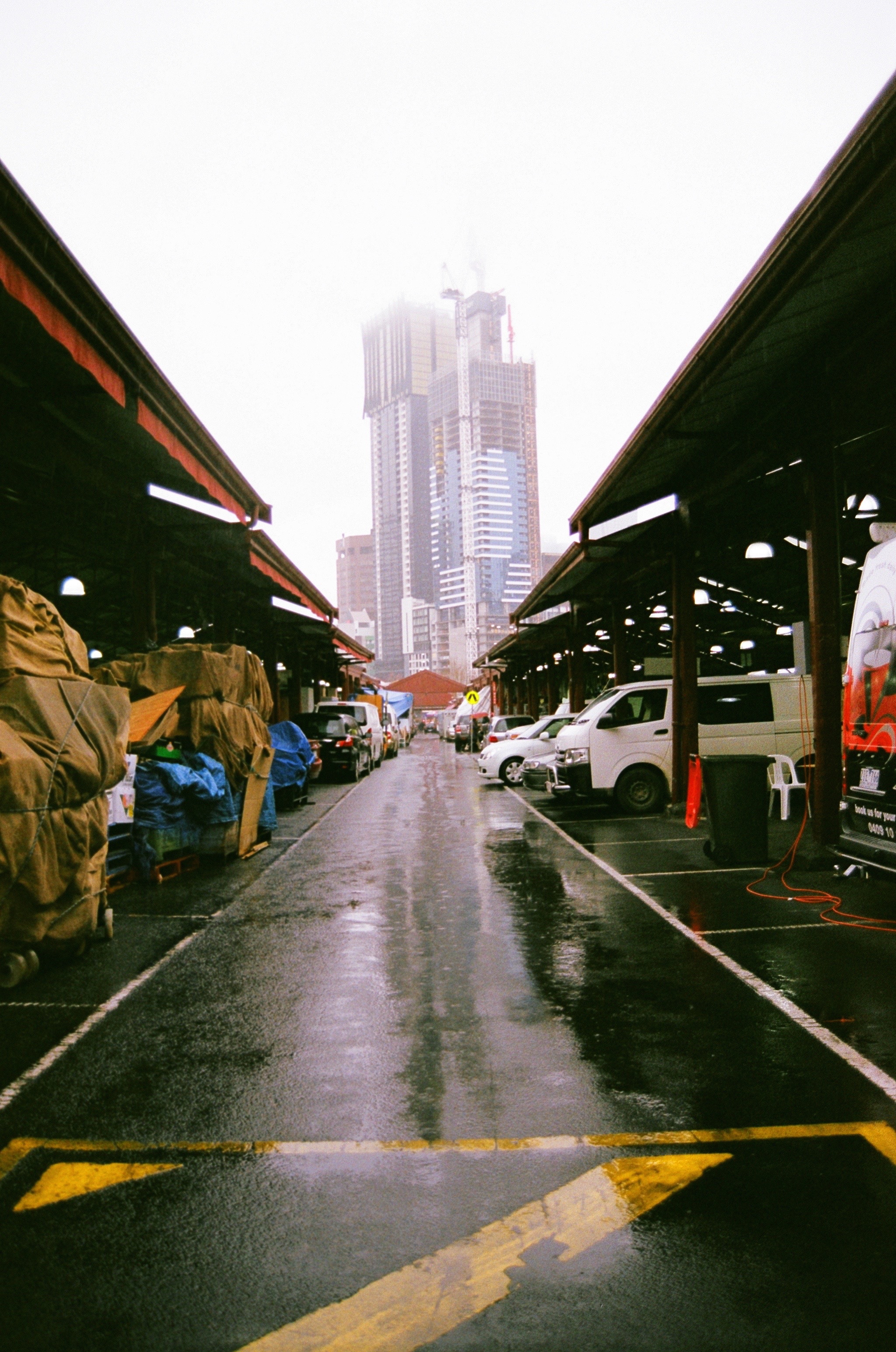 Nikon F90 | Fujifilm Superia 400