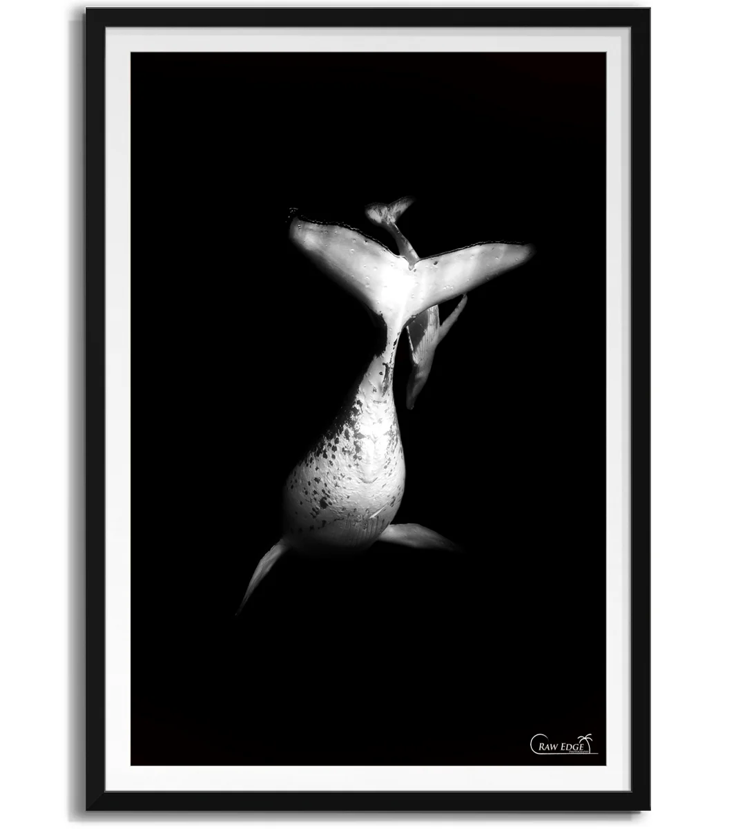 Shadow Box -Black