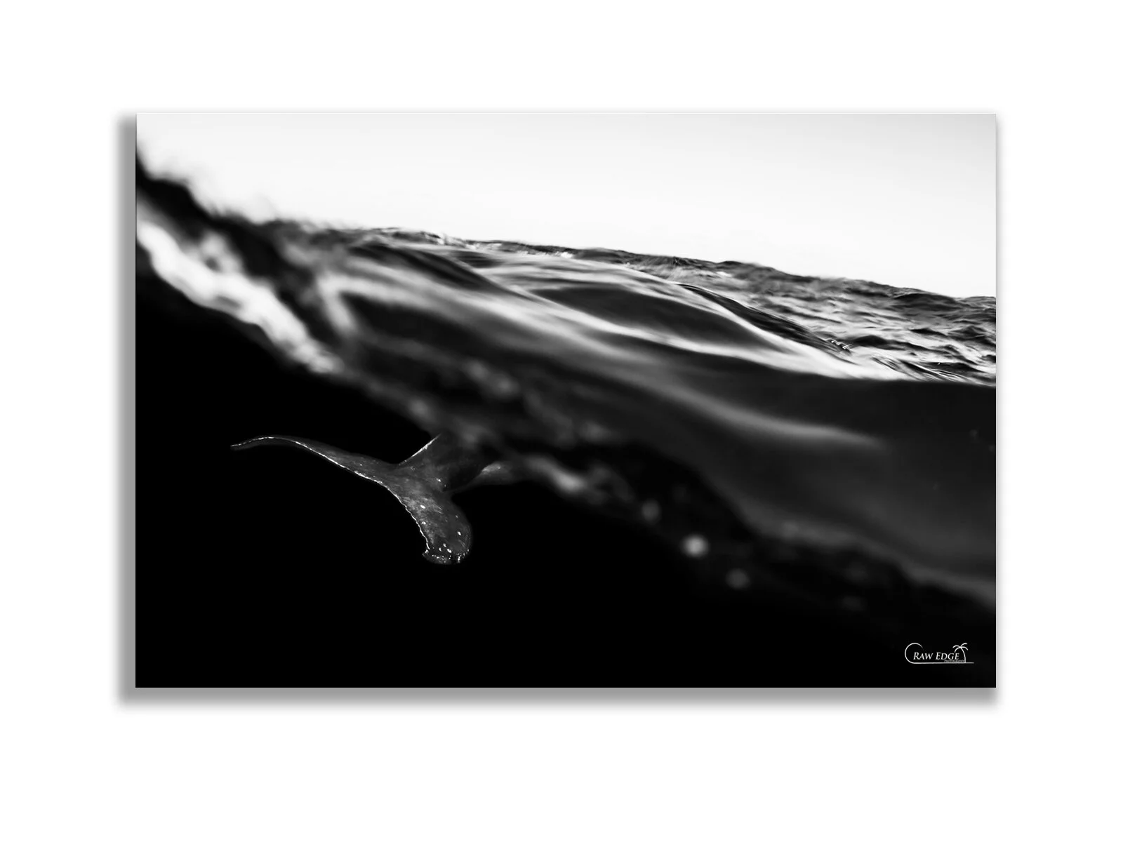 Glass