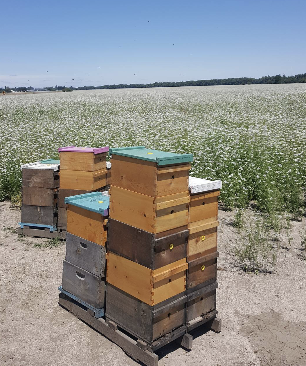 Screenshot 2026-03-11 at 12.16.16 PM.png