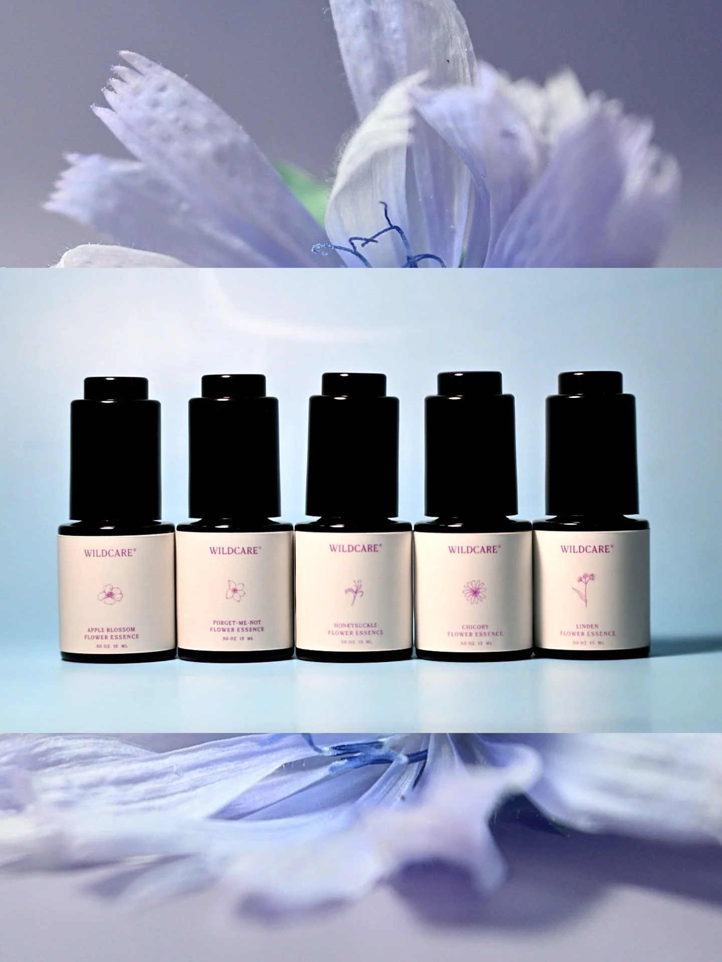 Our full menu of 5 Flower Essences. All regionally crafted from the flowers, to the spring water, to the distilled spirits they&rsquo;re preserved with. Releasing these has been a hugely purposeful mission&mdash; one driven with a full heart and of v
