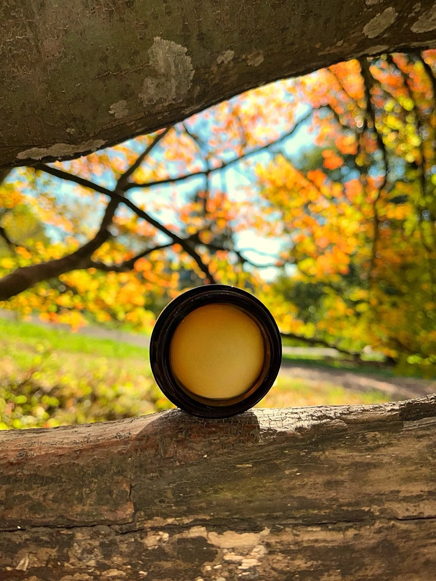 Fresh balms are back. 🌟 Our jammy face balm stars Pacific Northwest local maple-blossom honey and is essential oil free like all the products in the Wildcare line. The base is our beloved SunRoot Solar Serum— starring a 5-week, solar infusion