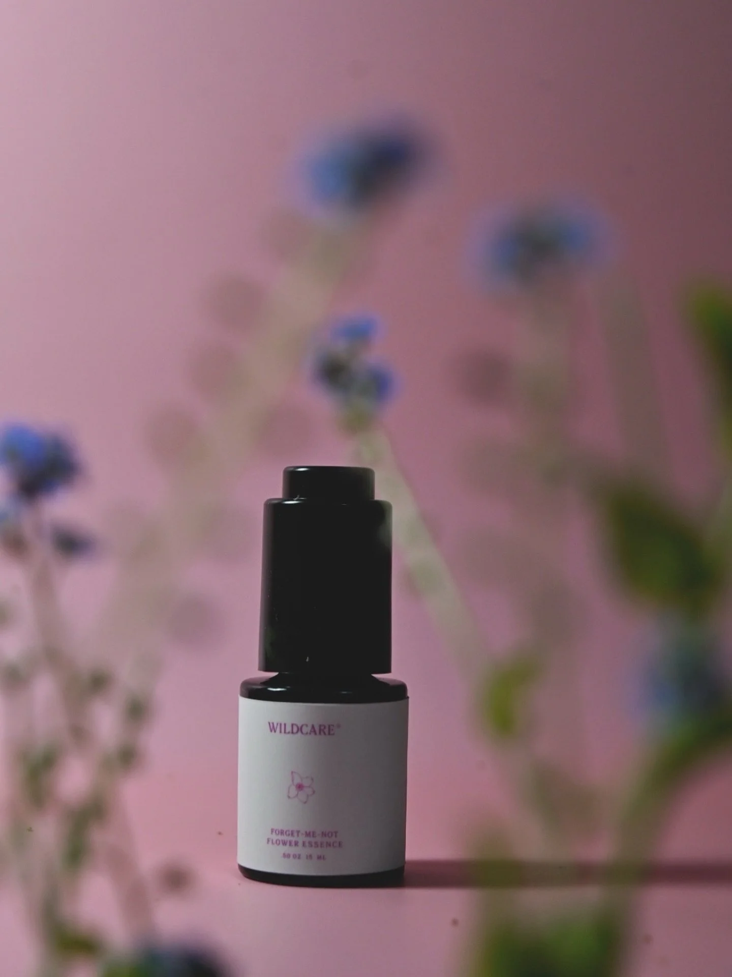 There’s been a surge in orders of our Forget-me-not flower essence over the last two weeks. This becomes really fascinating to me because I’ve been starting to notice various emotional patterns relating to specific seasons with our flower