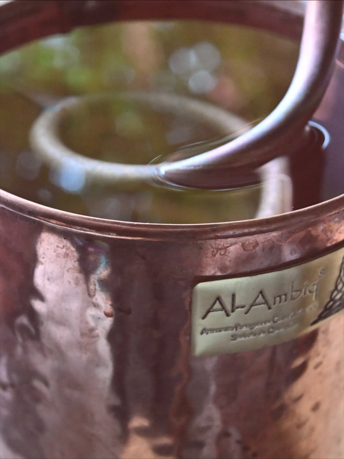 Excerpt from Part 1 of our Autumn Alchemy Series. 
If you’re interested in the mysteries of the vessel, the process and the life of a distiller, hop on over anytime and explore all 3 parts. 🌠
#substack #naturewriting #alchemy #distillation #d