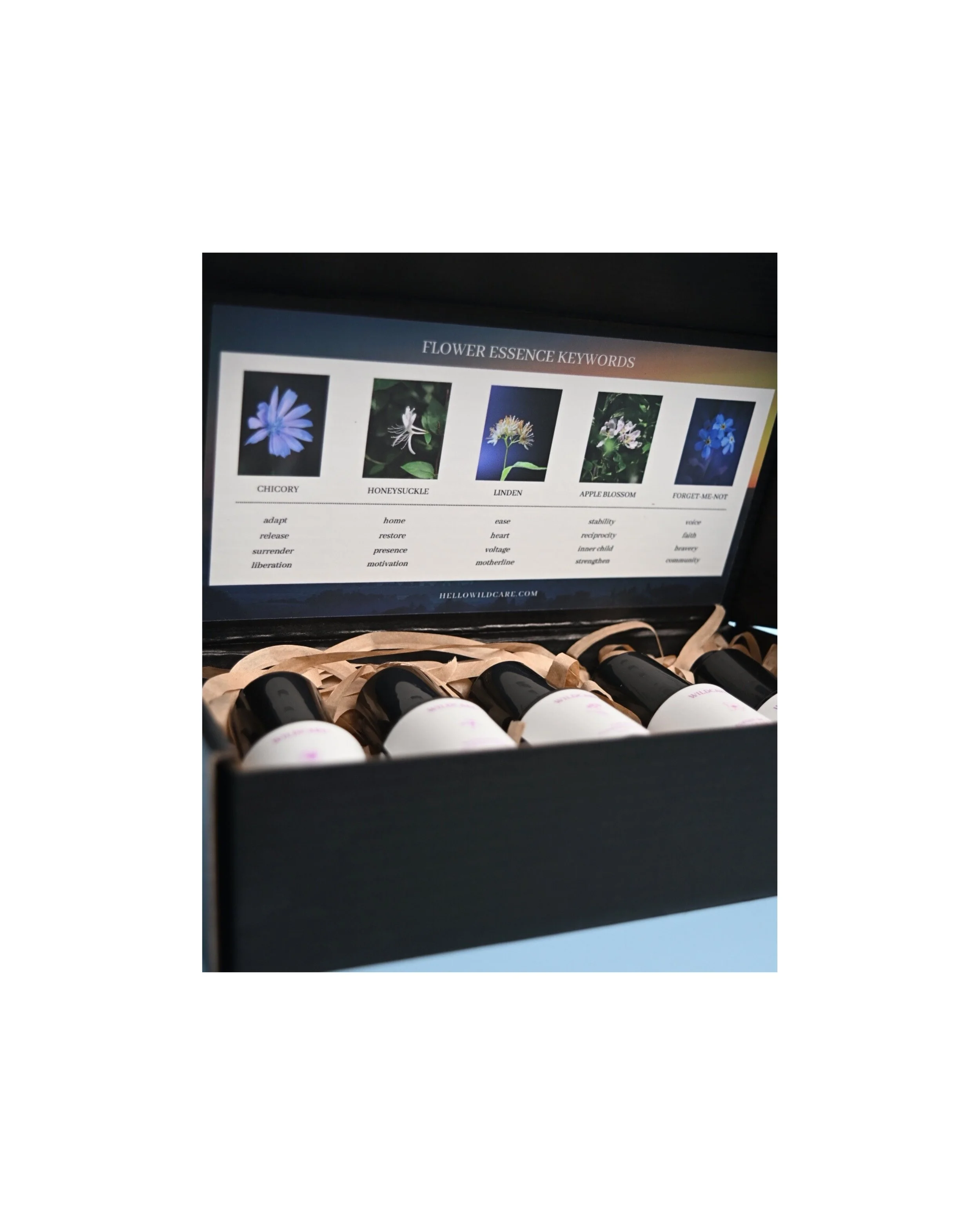 Web photo format-41.jpg