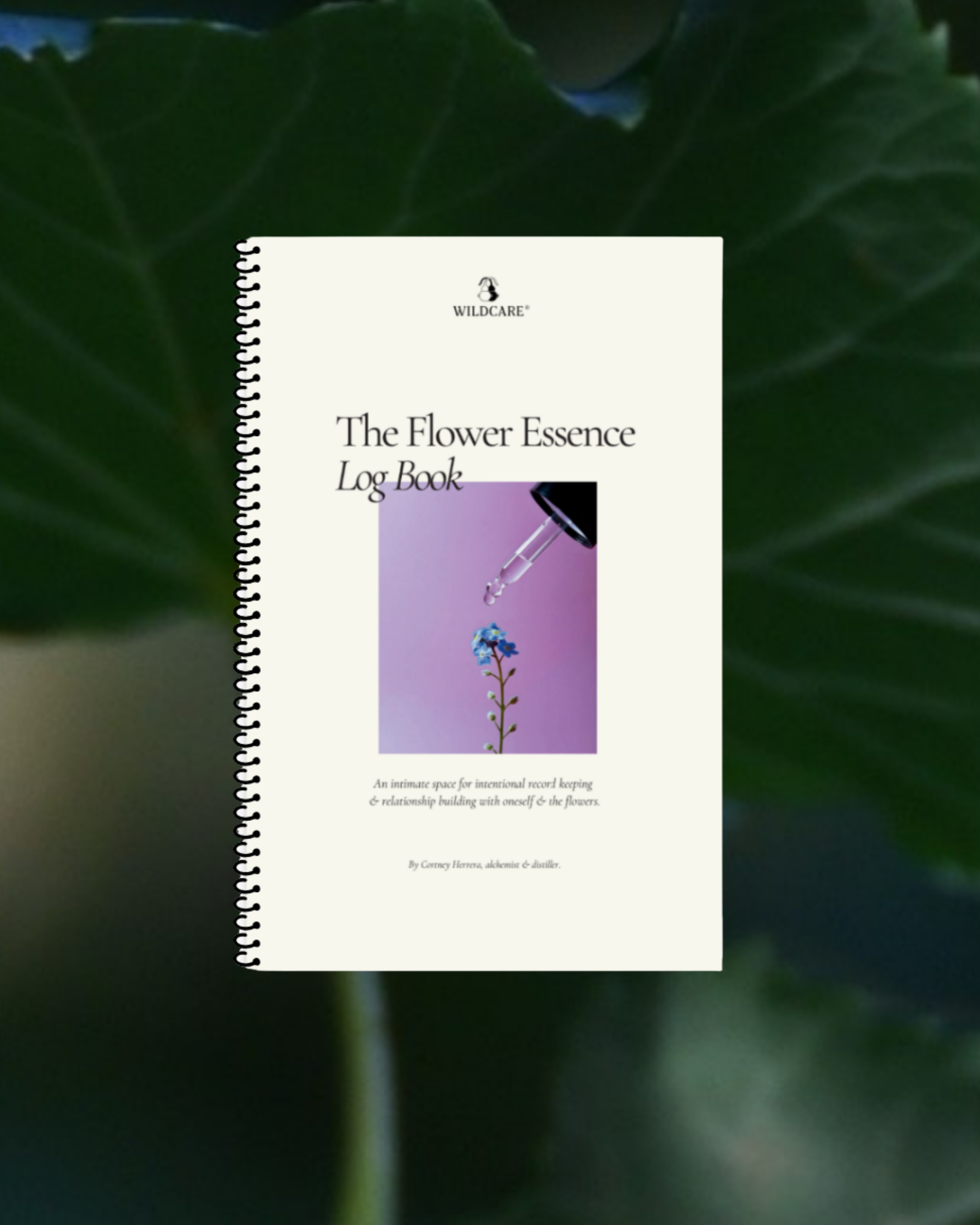 log book cover website.png