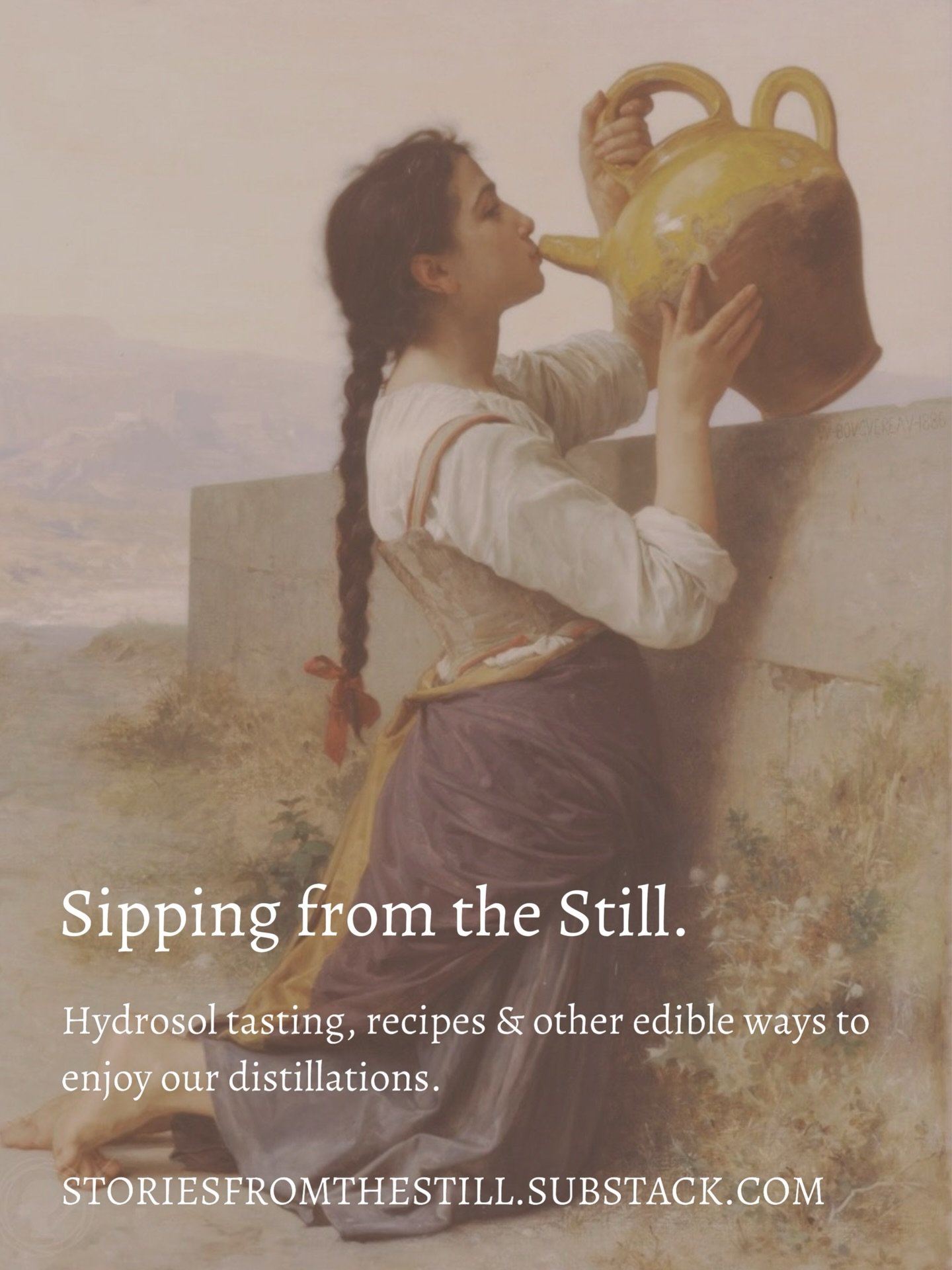 Good morning kind people of the gram~~~

I&rsquo;m all jazzed up to share today&rsquo;s journal over on our substack. I&rsquo;m talking about something I&rsquo;ve kept *off* the gram for the last 10 years and have only shared through word of mouth&md