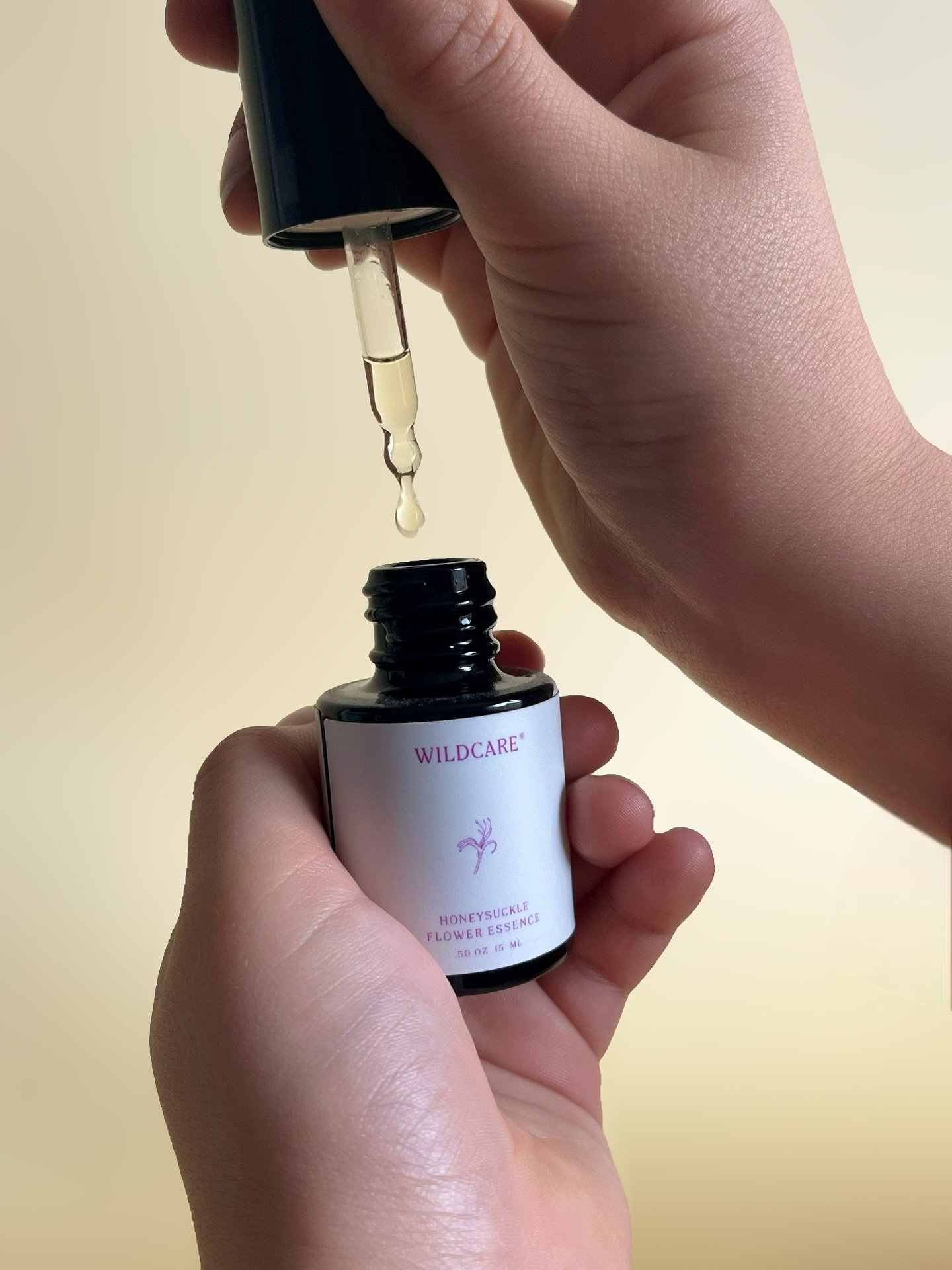 A continuation of Honeysuckle from our last post... 💛
This flower essence has been chosen most commonly for those expressing change &amp; transition, overwhelm, grief &amp; a bright container for living adoration, presence &amp; ease to fill your he