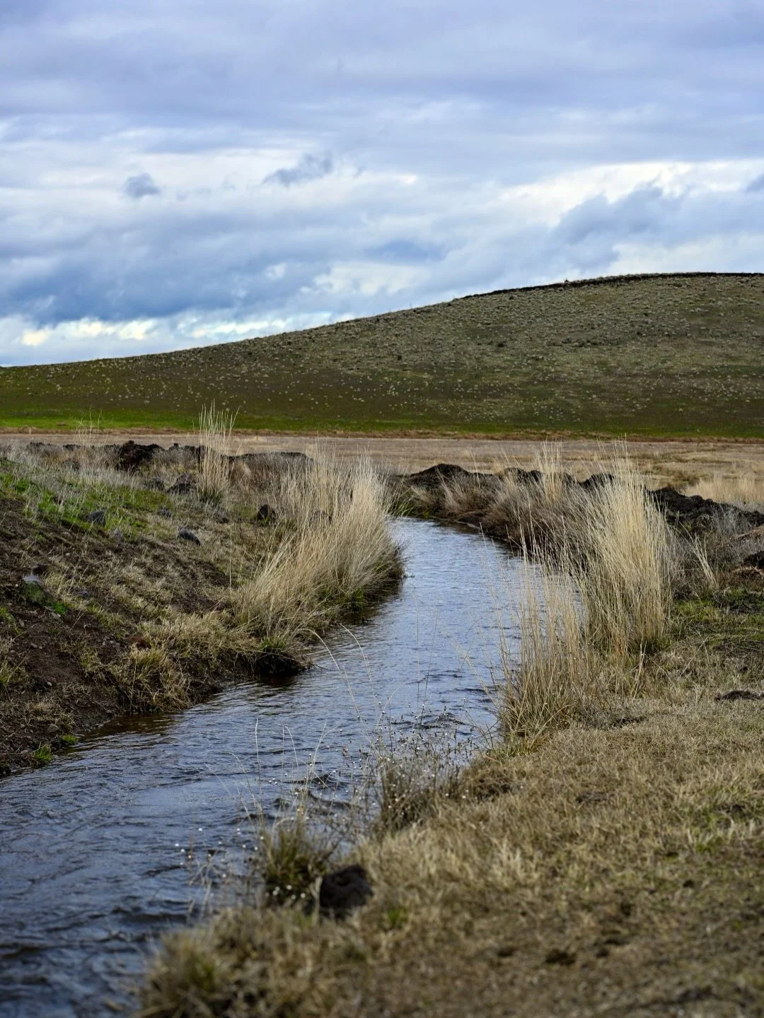A California love story from our homeland. Happy Solstice from the road, the sea, the meadows and meeee.

💛 Cort &amp; fam

#california #love #wildcaretravels #solstice