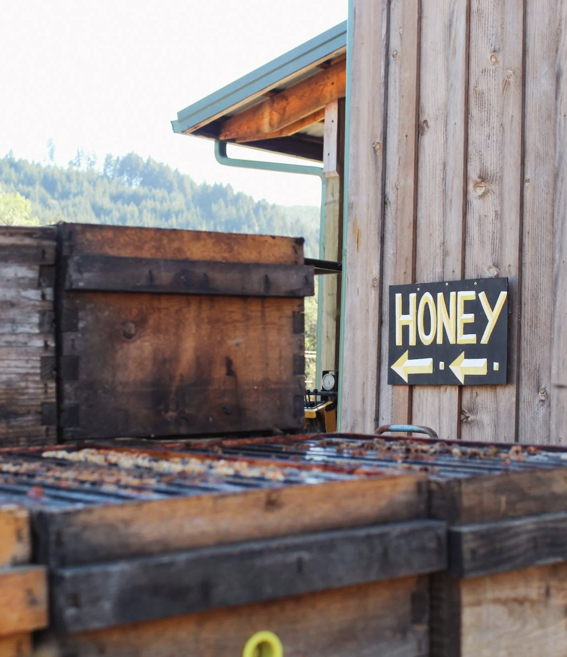 Screenshot 2026-03-11 at 12.09.19 PM.png