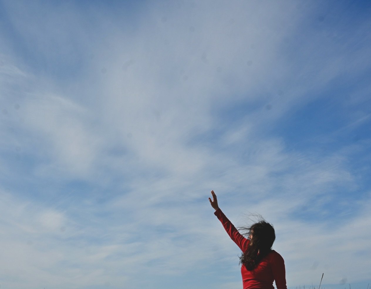 Early Spring is calling upon the Phoenix energy I had tucked away in my pocket. Ready or not, movement is calling us to participate.

Things happening off Instagram&mdash;

&bull; New flower essence labels go live next week.

&bull; Witch Hazel Flowe