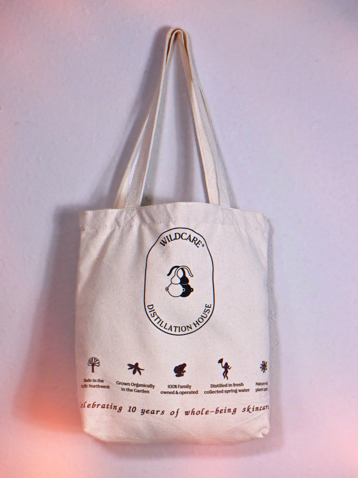 It&rsquo;s Farmer&rsquo;s Market season.
🍎🍒🍊🍋🫐🥬
We can help you carry the goods. :)