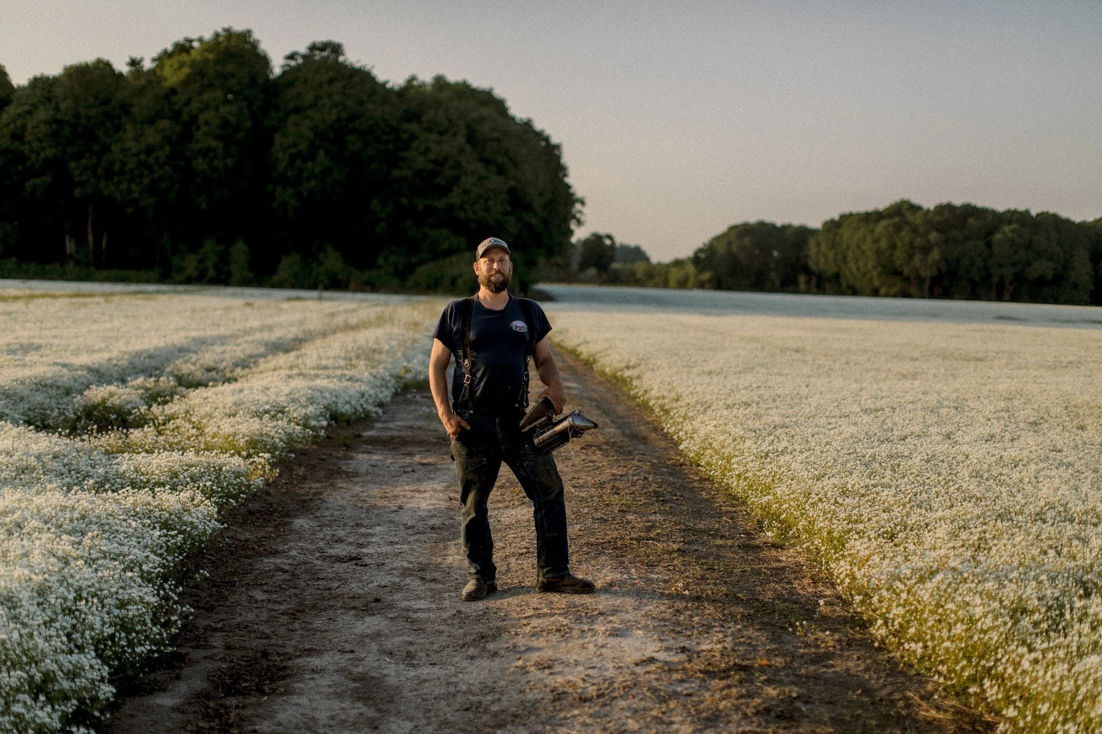 Henry in Meadowfoam.JPG