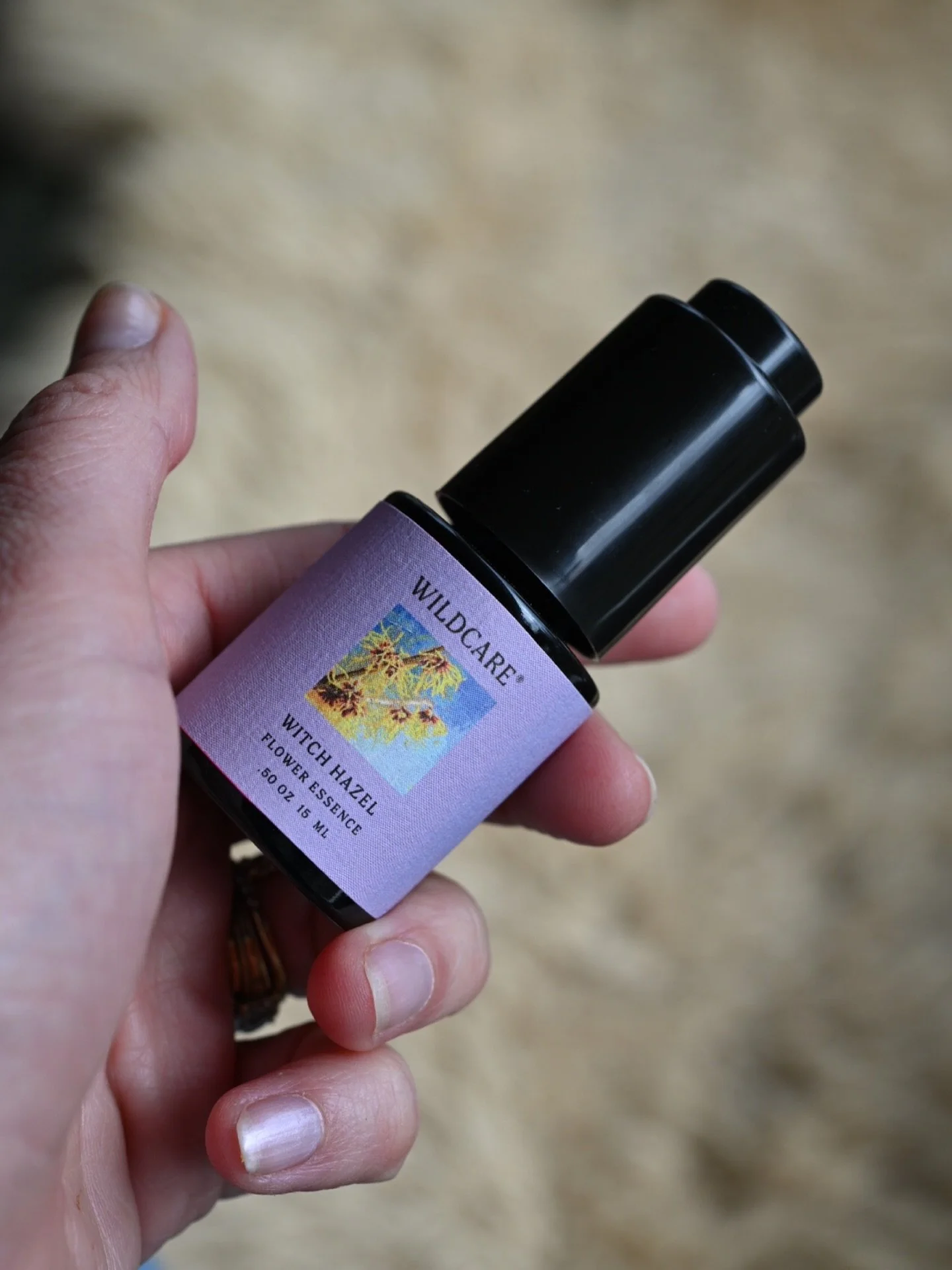 First thing in the morning, this is what I&rsquo;m reaching for lately to self-attune&hellip;.

💛

Witch Hazel for&mdash;
&bull;Strengthening self-identity &amp; purpose
&bull;Integration into the world after hardship
&bull;Endurance after committin
