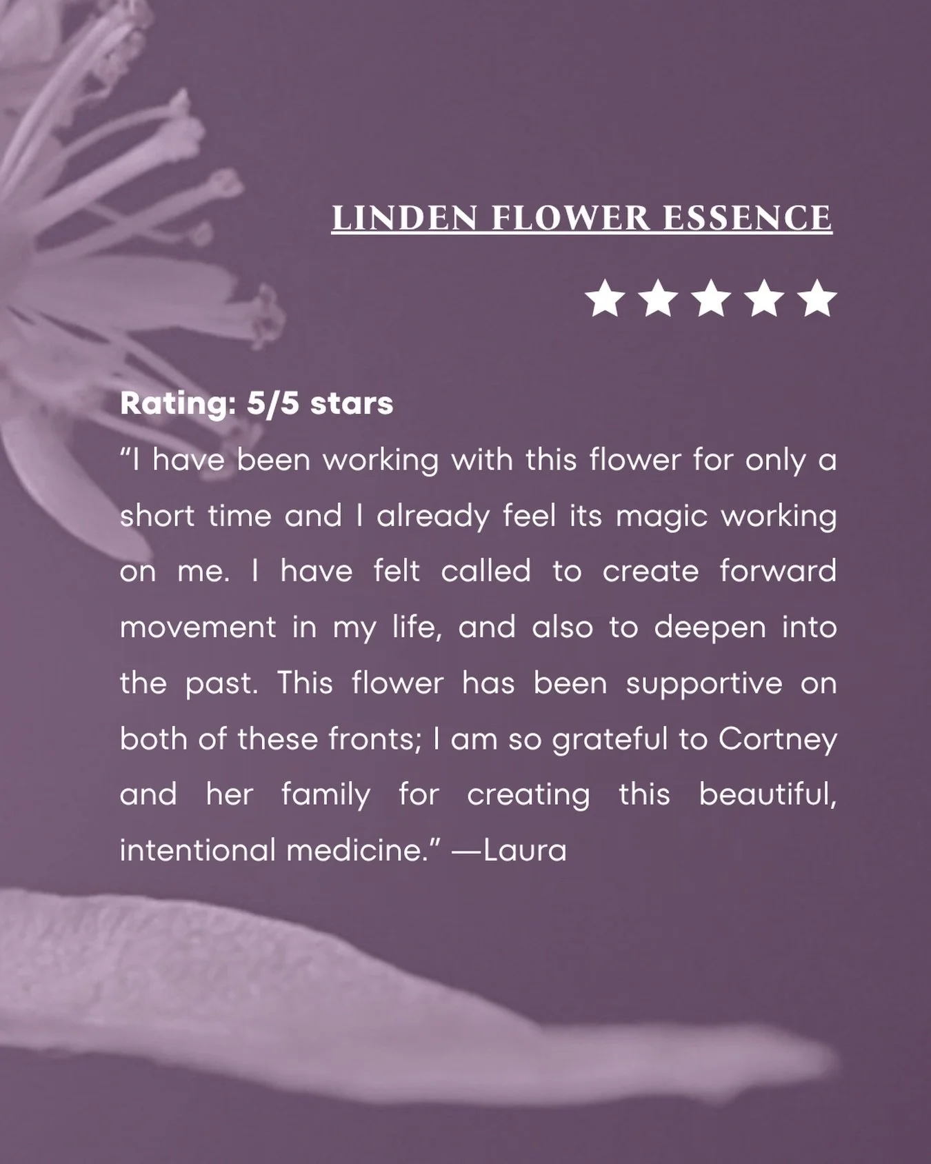 The power of flowers.
Made with love,
Cory &amp; family

#linden
#floweressences
#transformation
#emotionalsupport