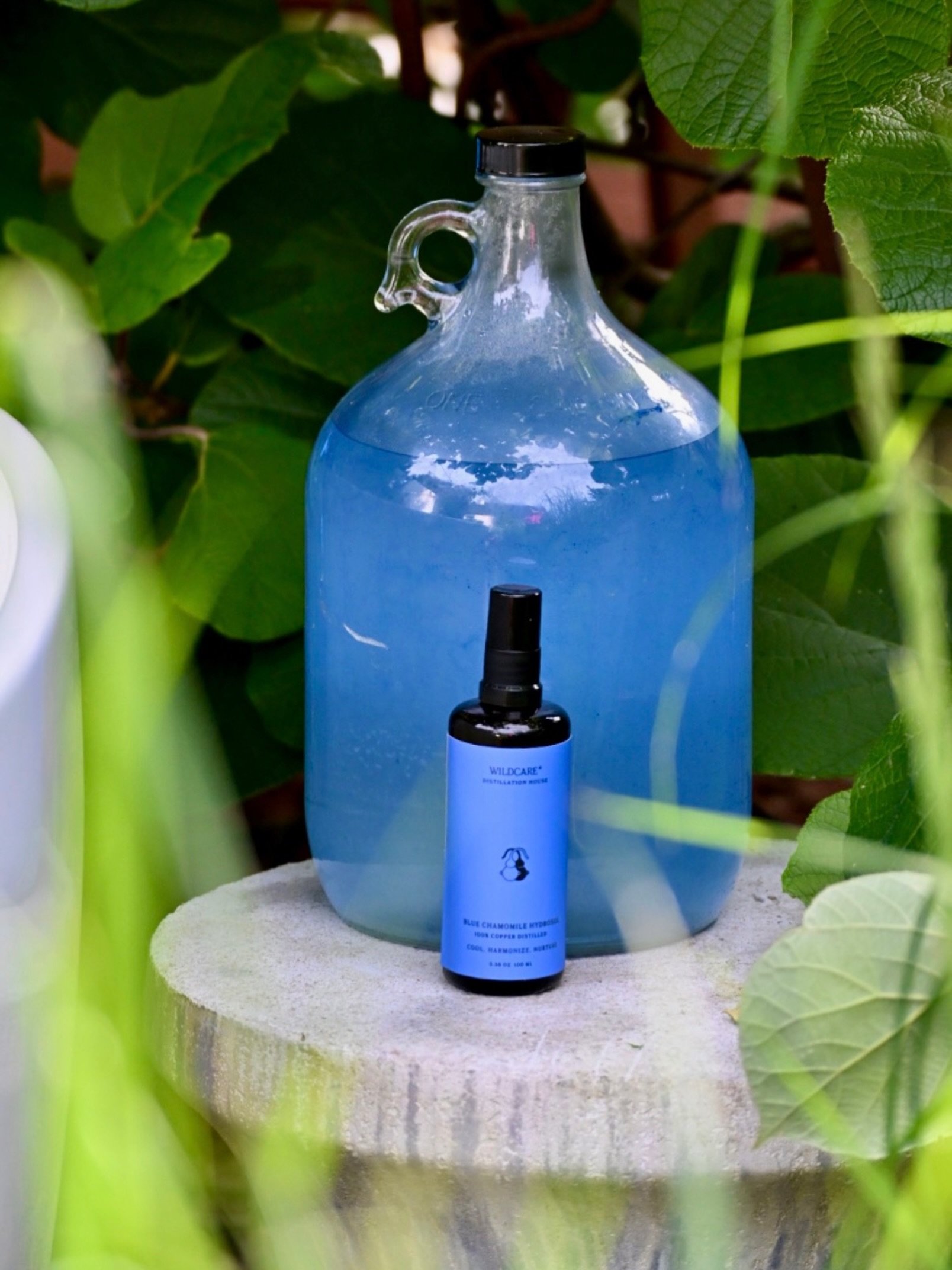 💙 COOL &bull; HARMONIZE &bull; NURTURE 💙

Forever my pick for a hot Summer day. Copper distilled with fresh Spring water &amp; fresh flowers.

Physically : Harmonizes with skin that experiences redness and is especially cooling for inflammatory con