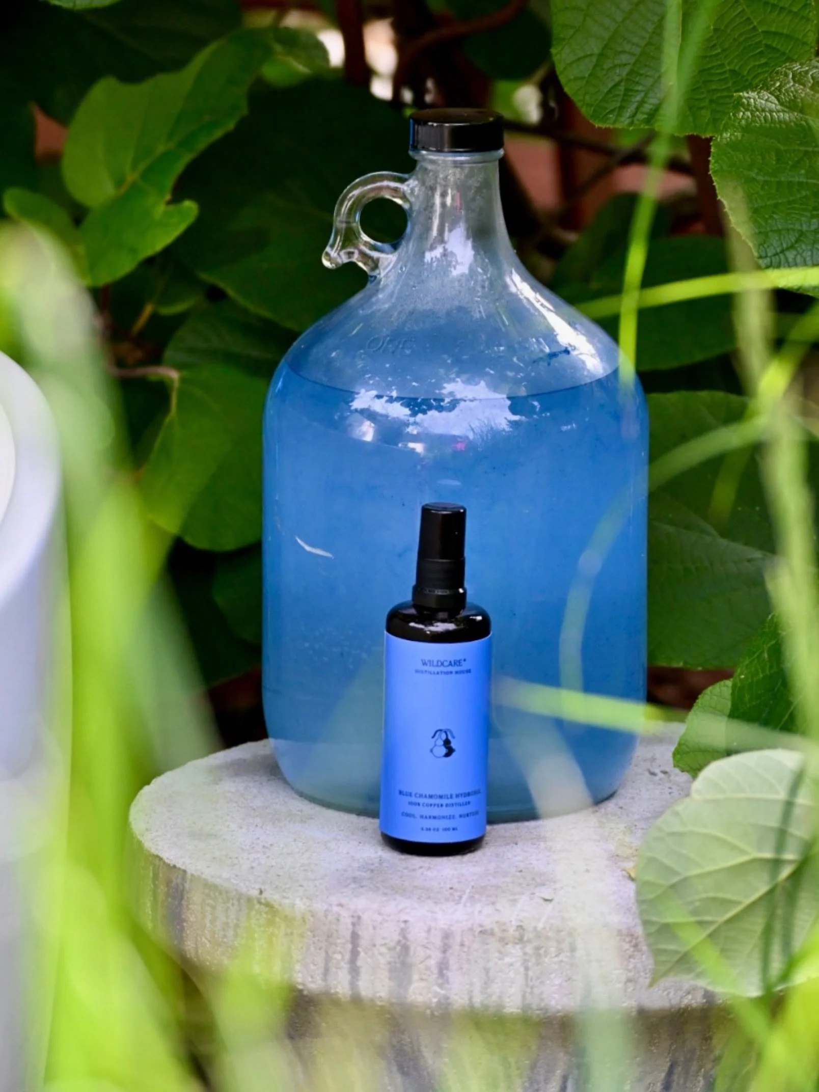 💙 COOL &bull; HARMONIZE &bull; NURTURE 💙

Forever my pick for a hot Summer day. Copper distilled with fresh Spring water &amp; fresh flowers.

Physically : Harmonizes with skin that experiences redness and is especially cooling for inflammatory con