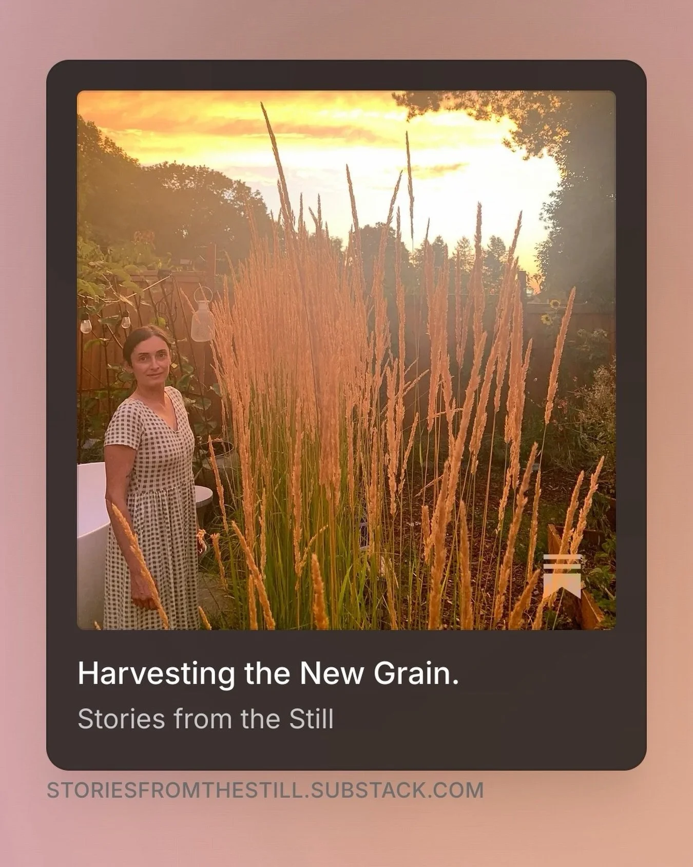 New writing this morning. Something is stirring.
Tap &lsquo;Journal&rsquo; in our bio link &mdash;Or comment journal here and I&rsquo;ll message you the link. 

🌾 

&mdash;Cort

#substack #journal #naturewriting