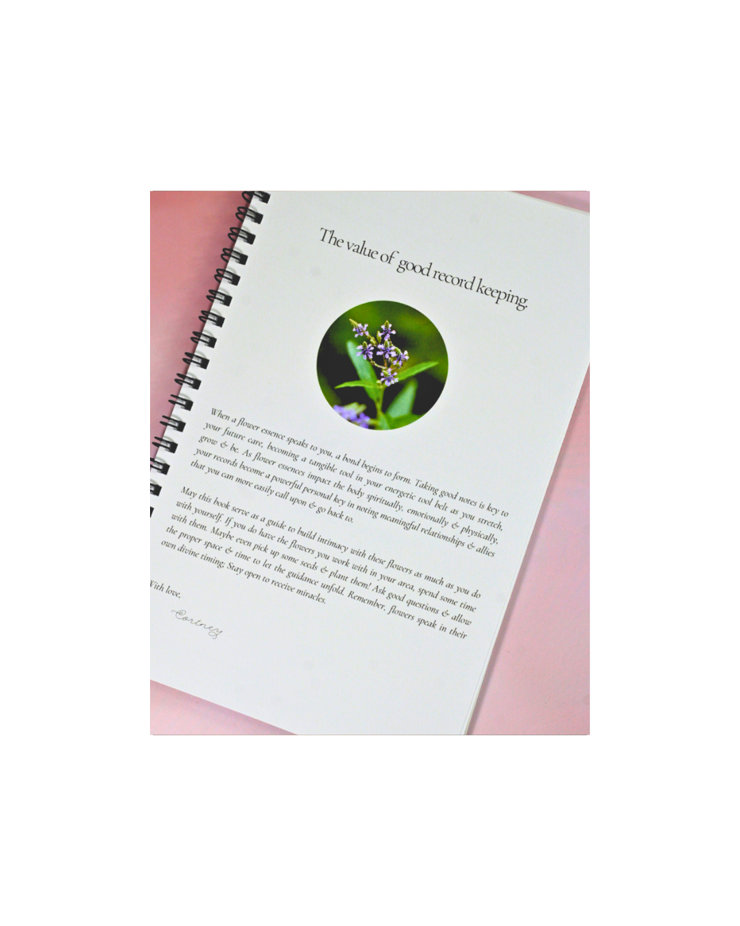 Web photo format-68.png