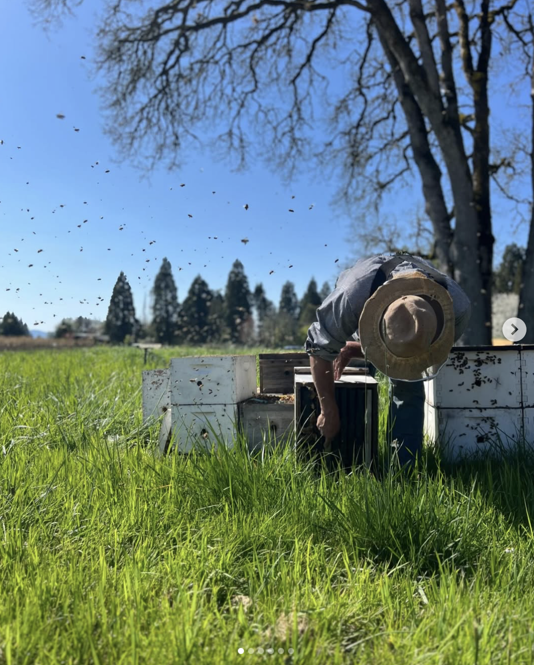 Screenshot 2026-03-11 at 12.13.03 PM.png