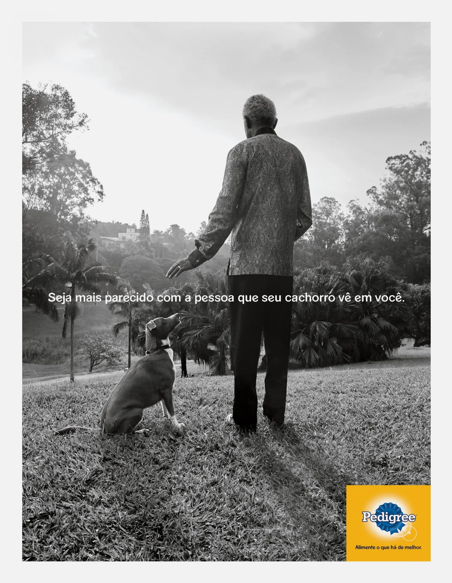 AF JOB 7171 - 32765 Pedigree - MANDELA 256x330 (ALE)-1.jpg