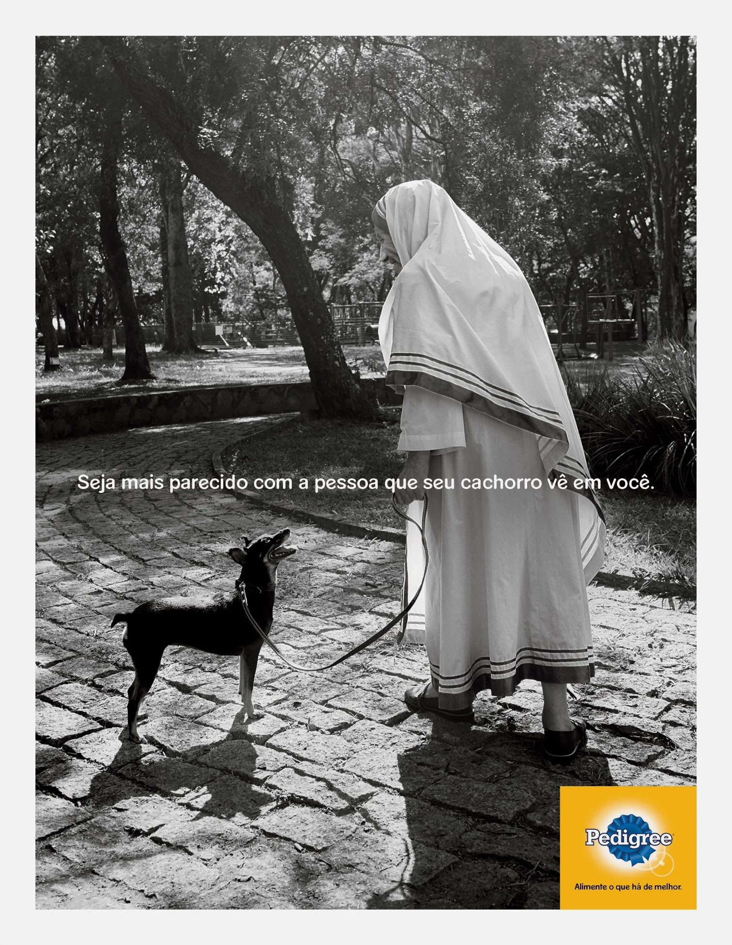 AF JOB 7171 - 32766 Pedigree - CALCUTA 256x330 (ALE)-1.jpg