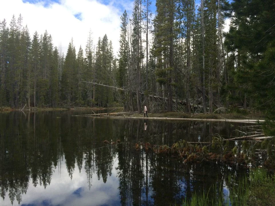 Lake Almanor.jpg