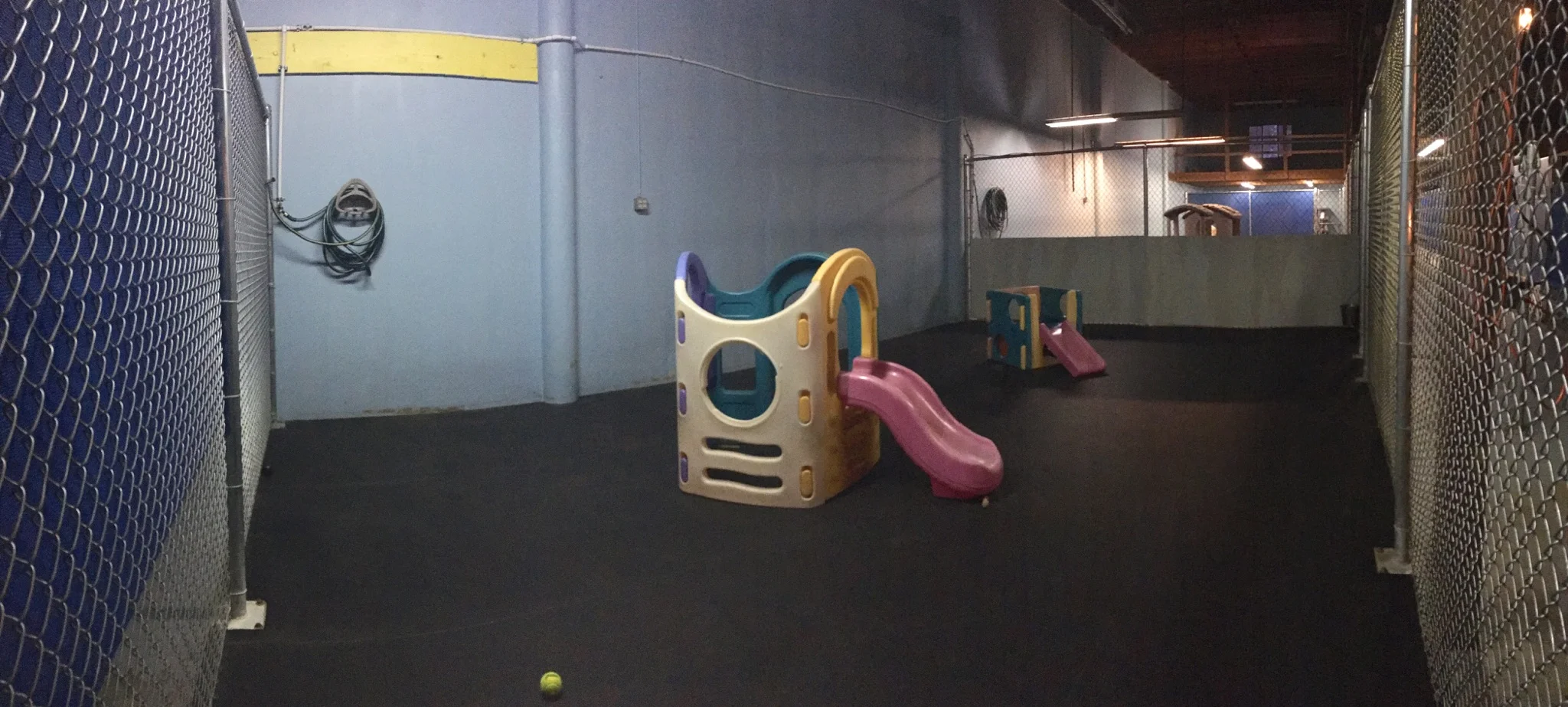 This is our smaller play yard, usually reserved for small dogs and big, but gentle dogs who may not enjoy play time with other big dogs.