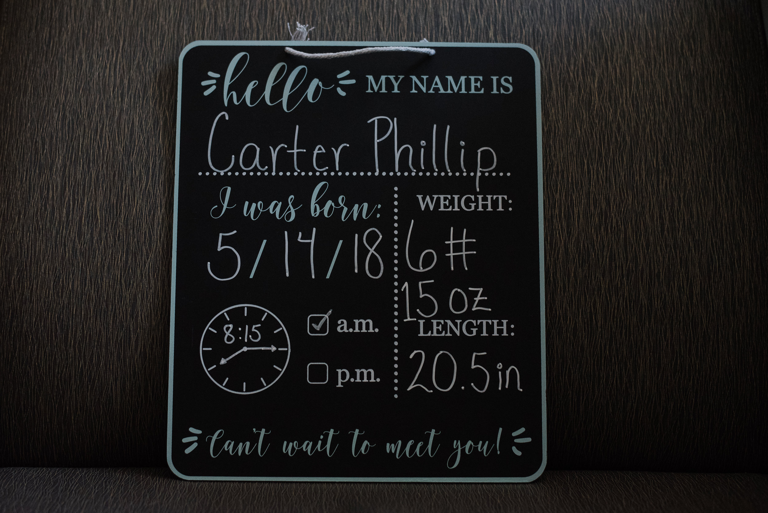 sign-fresh 48 Pensacola Newborn Photographer