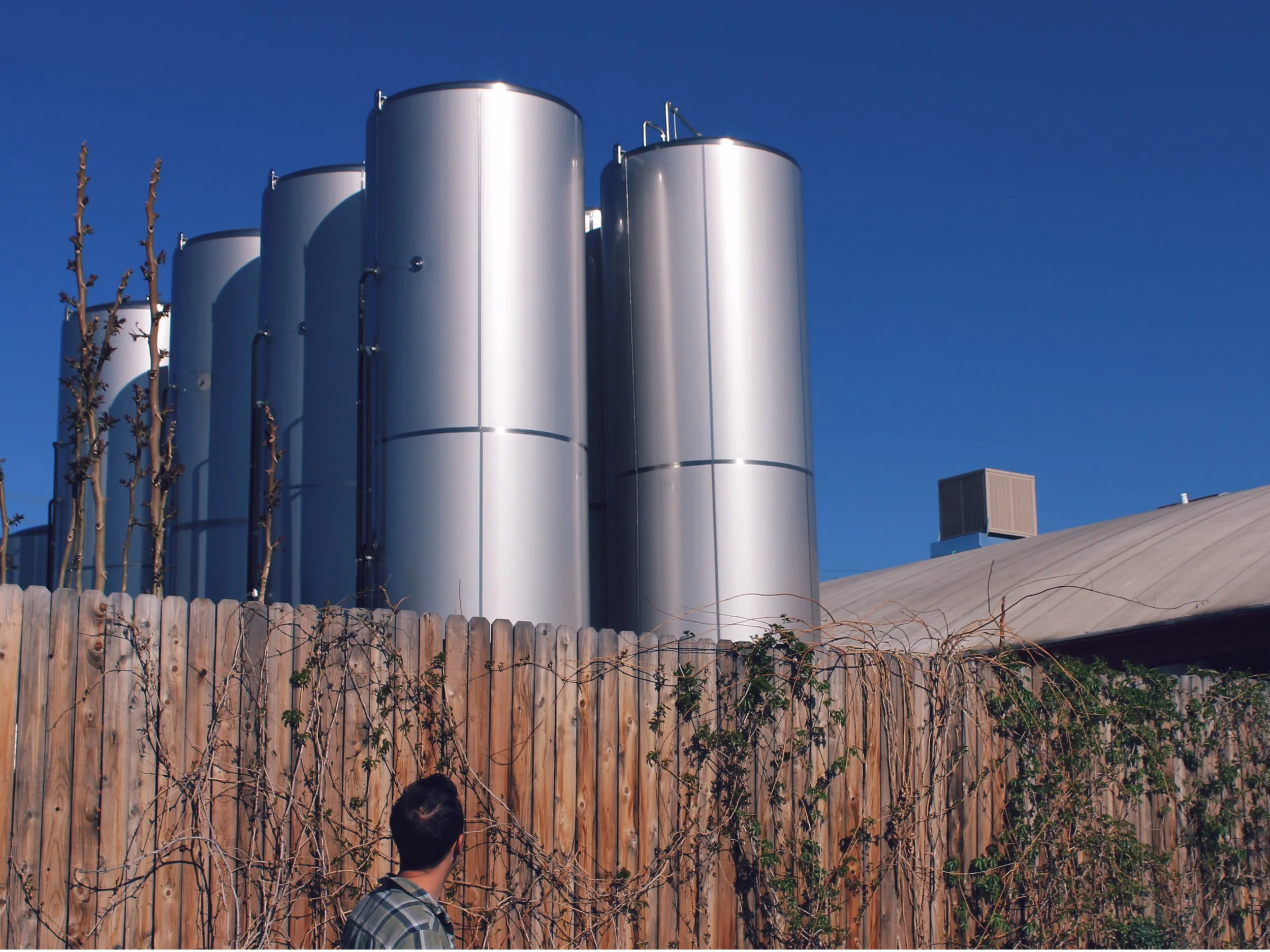 Hopvine Bling Collaboration